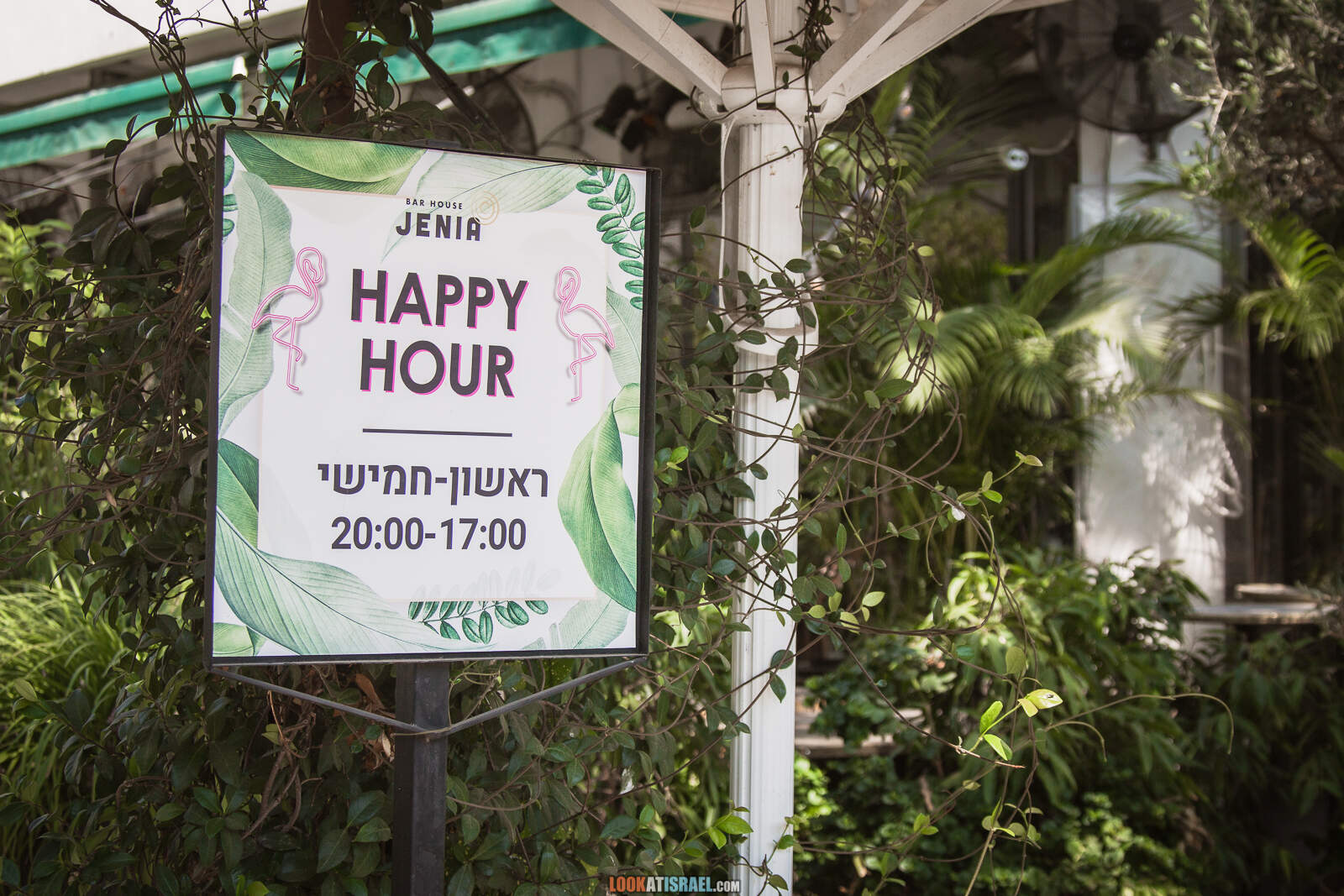 Тель-Авив, улица Дизенгофф во время карантина | Lockdown on beaches of Tel Aviv | LookAtIsrael.com - Фото путешествия по Израилю