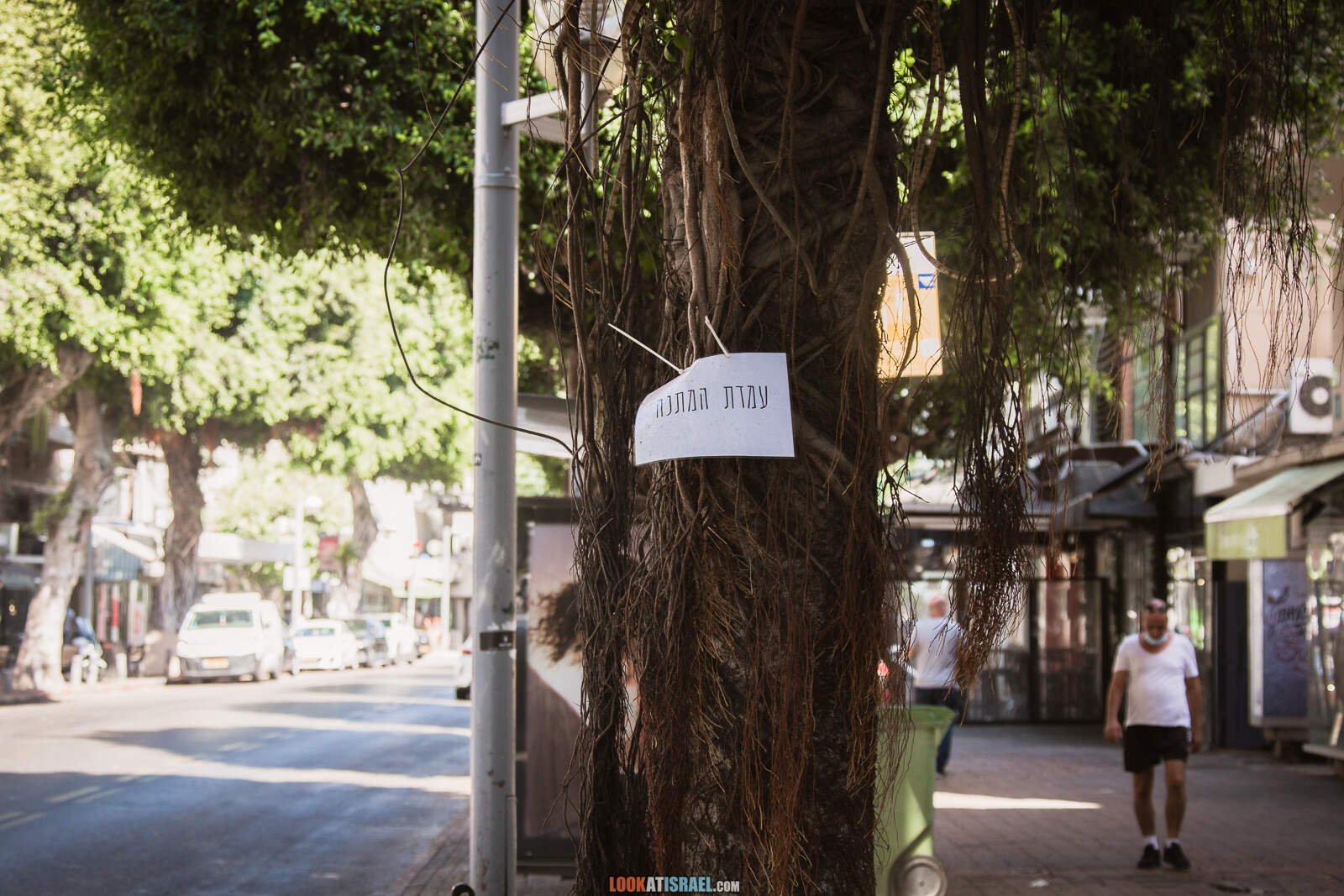 Тель-Авив, улицы Дизенгофф и Бен Гурион во время карантина