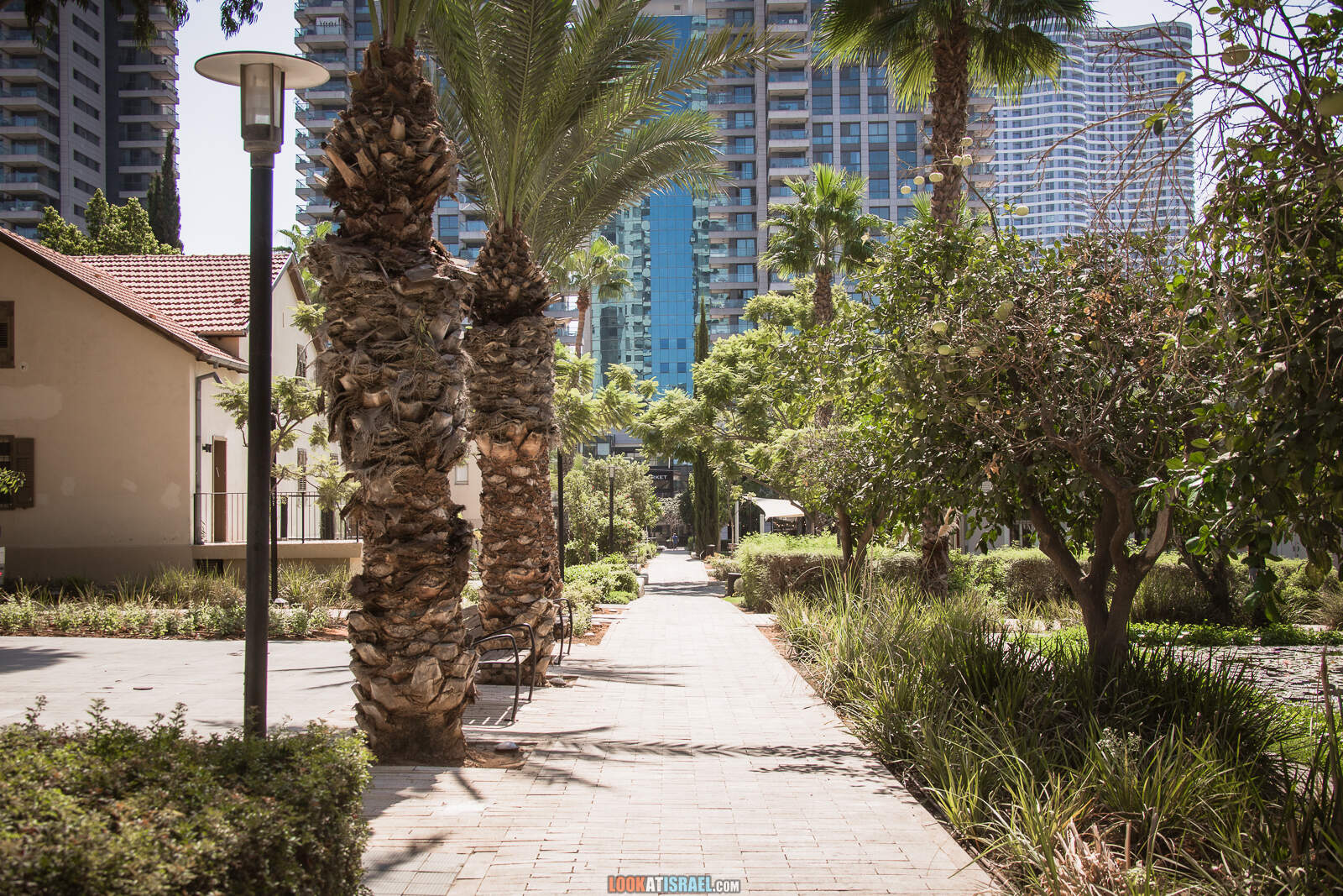 Тель-Авив, Сарона во время карантина