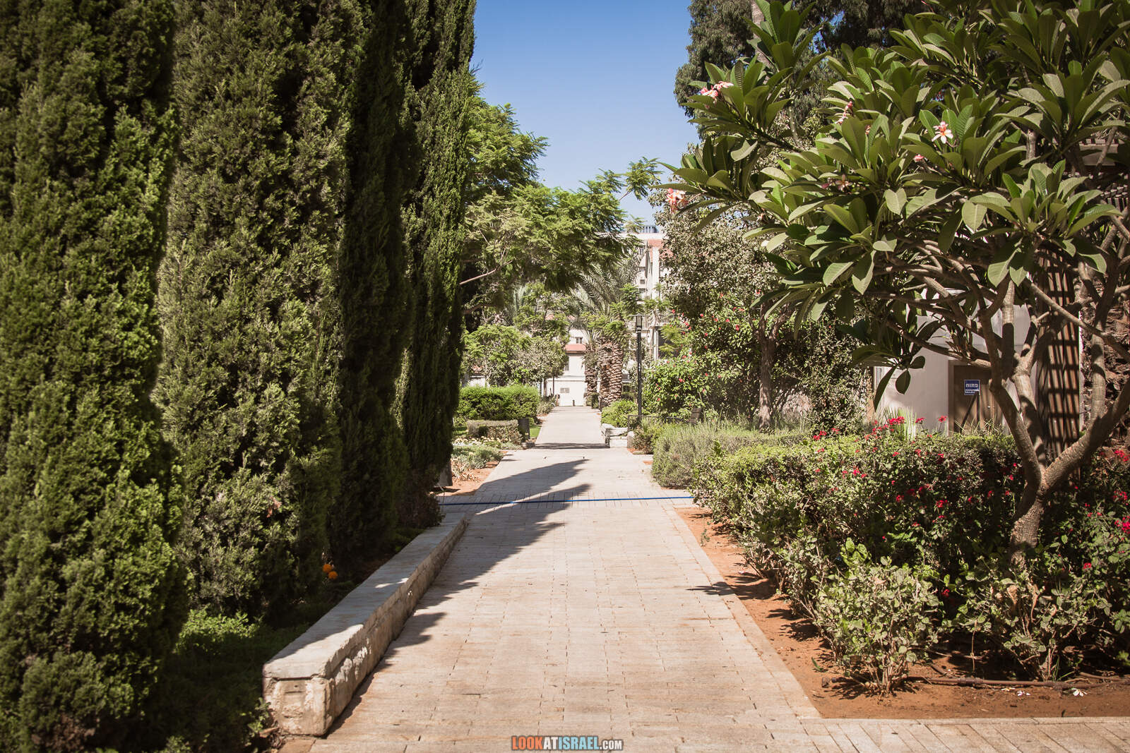 Тель-Авив, Сарона во время карантина