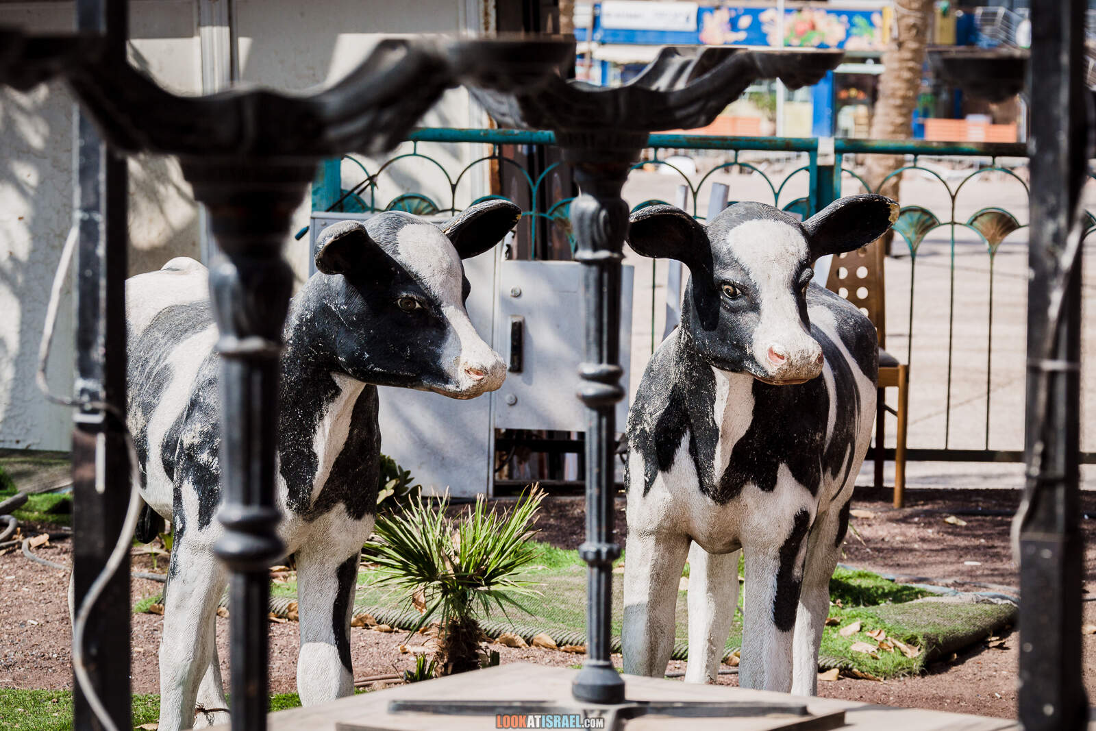 Карантин в Эйлате, пустой город | Lockdown in Eilat | סגר באילת