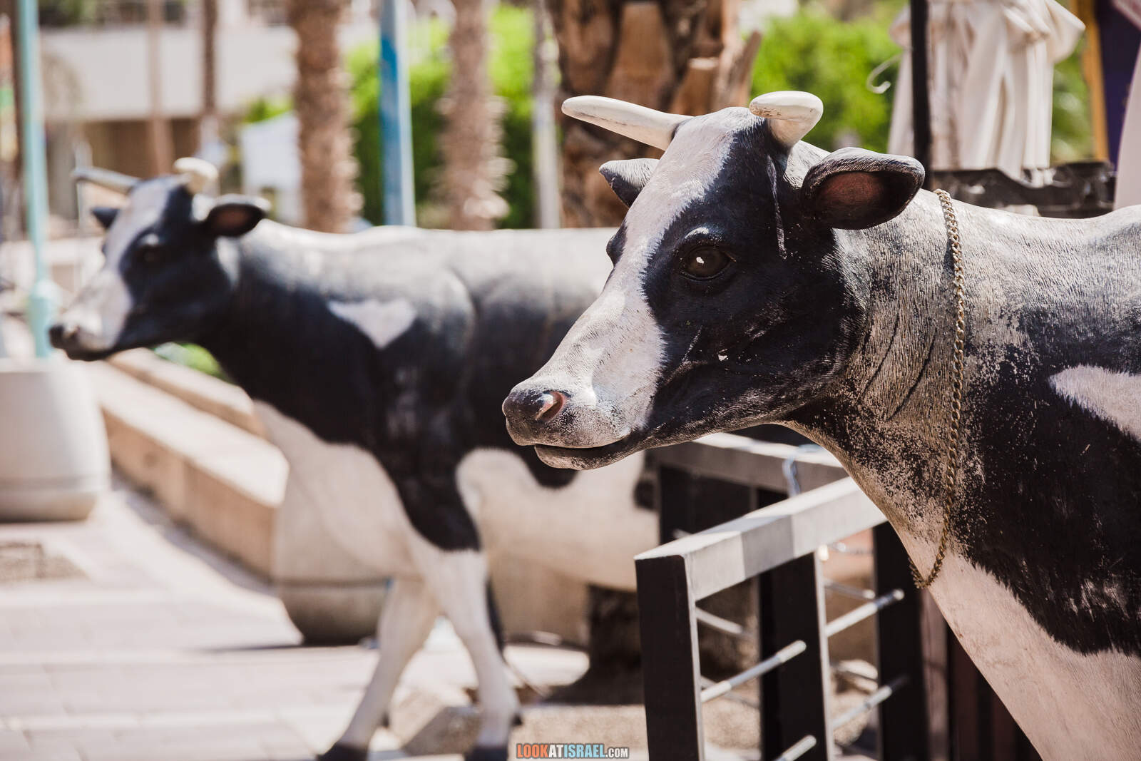 Карантин в Эйлате, пустой город | Lockdown in Eilat | סגר באילת