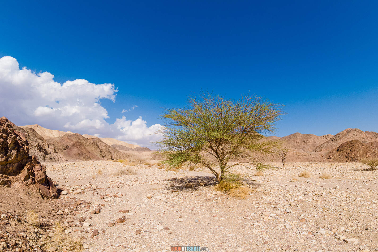Поход по Эйлатским горам - Проход Маавар Цафра (מעבר צפרה) Ущелье Гешрон (נחל גשרון) гора Цфахот (הר צפחות) | LookAtIsrael.com - Фото путешествия по Израилю