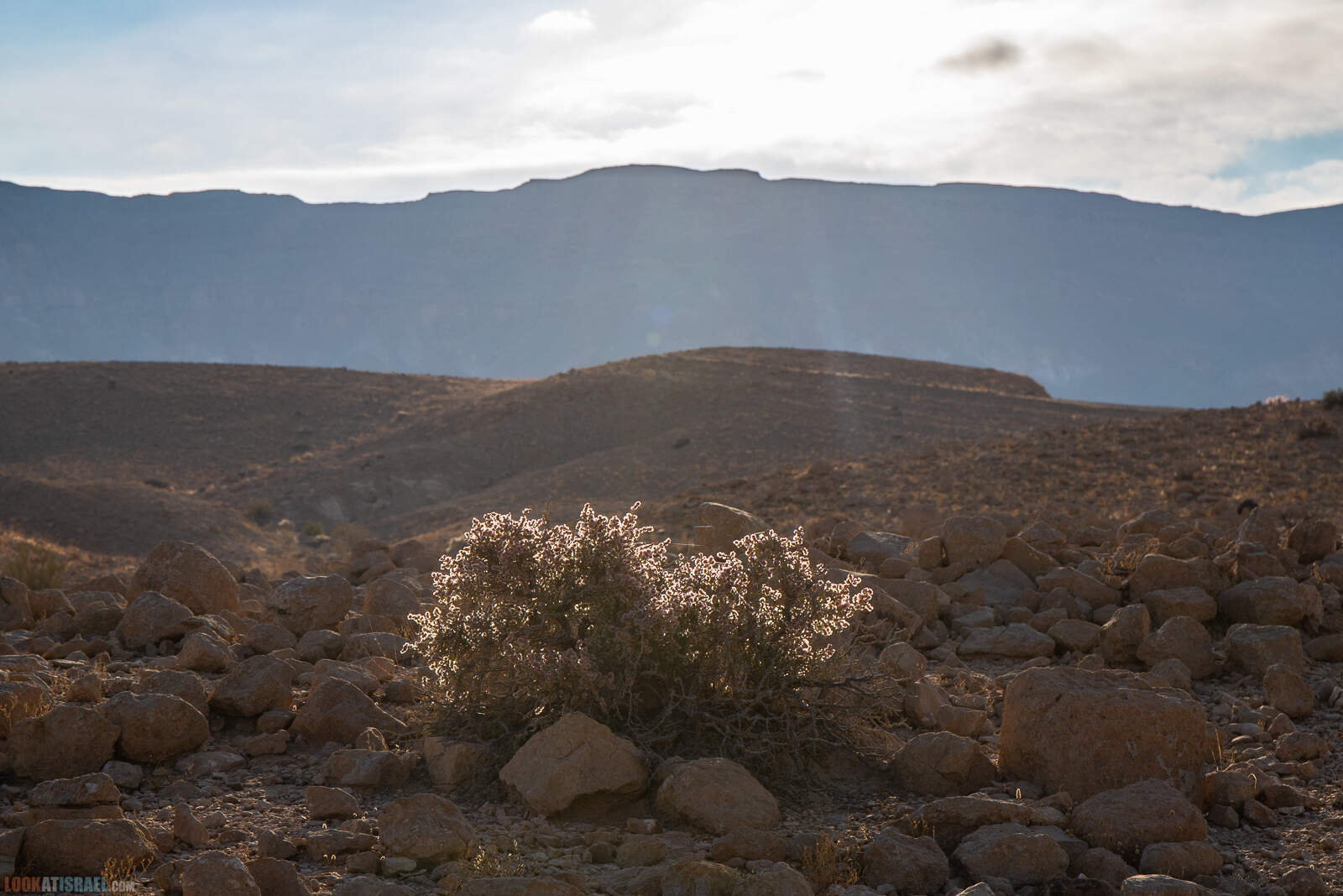 Все тропы горы Карком
