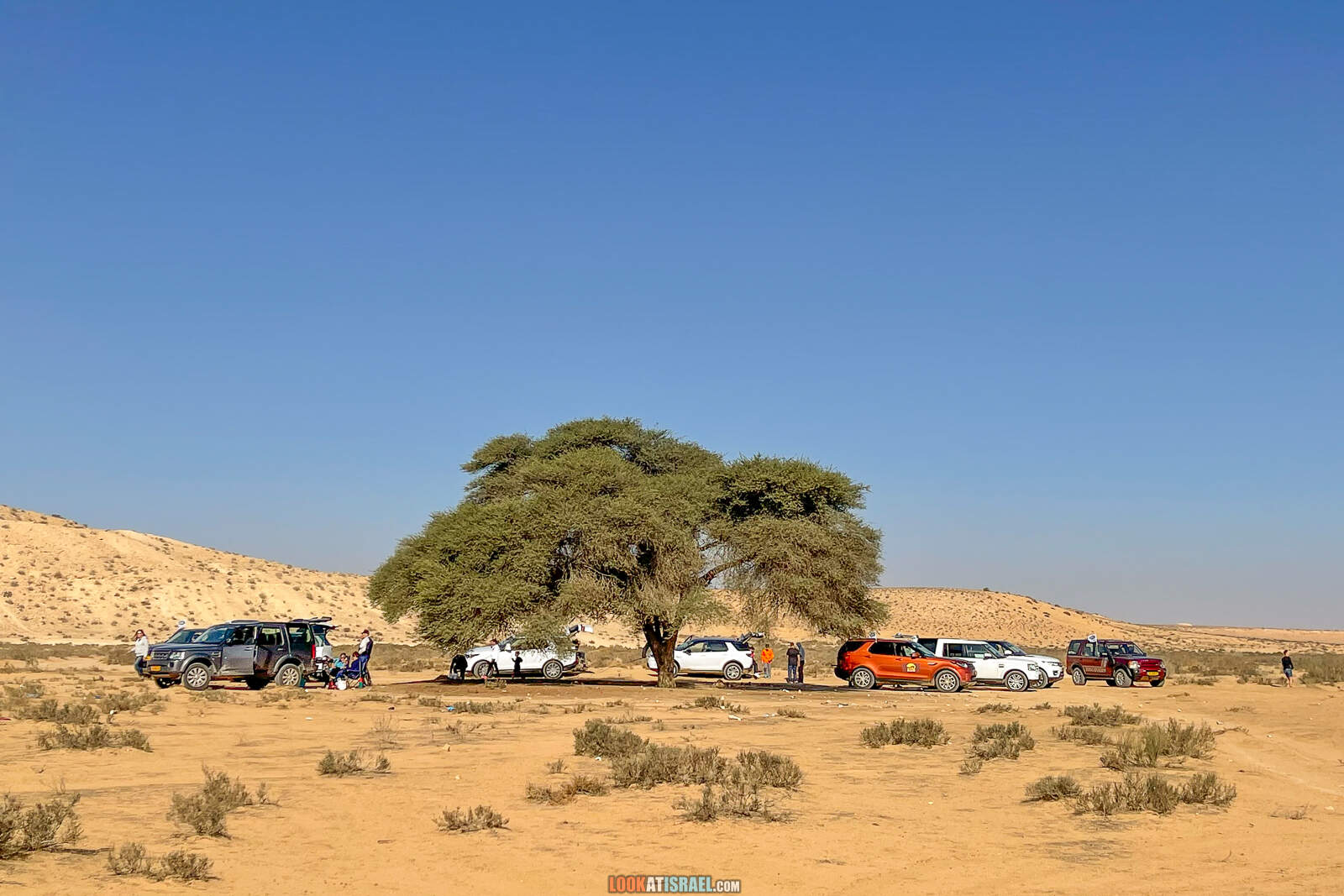Большая дюна в нахаль лаван, каньон а-лес (лёсс) и пески Халуца, Агур | דיונה גדולה קניון הלס חולות חלוצה שונרה עגור