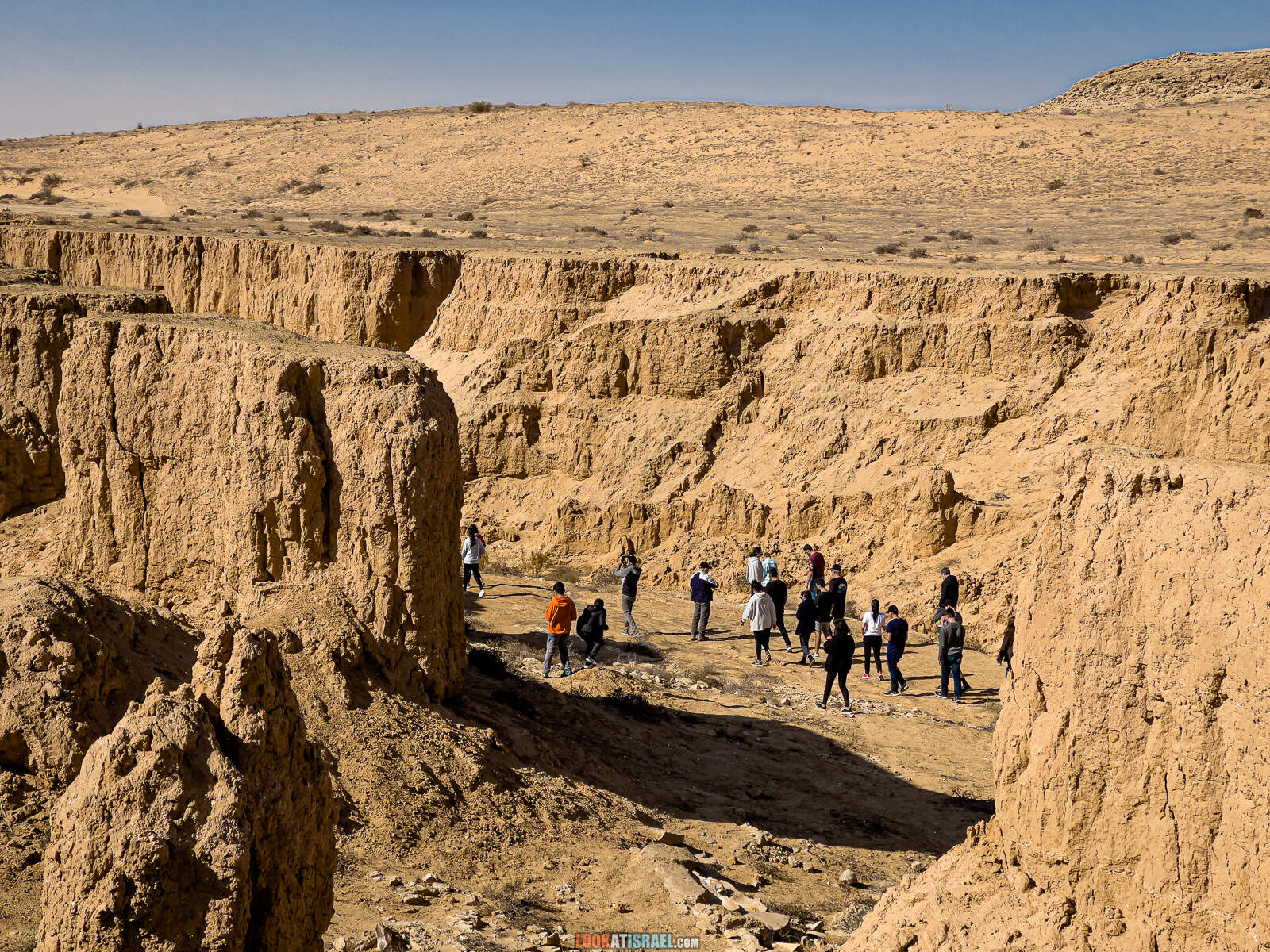 Большая дюна в нахаль лаван, каньон а-лес (лёсс) и пески Халуца, Агур | דיונה גדולה קניון הלס חולות חלוצה שונרה עגור