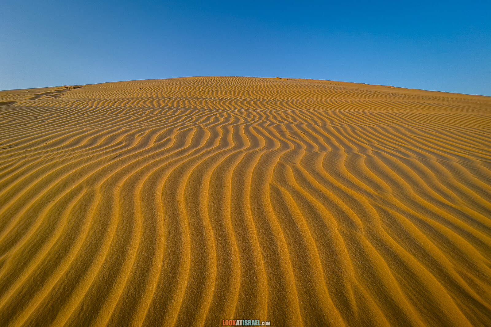 Большая дюна в нахаль лаван, каньон а-лес (лёсс) и пески Халуца, Агур | דיונה גדולה קניון הלס חולות חלוצה שונרה עגור