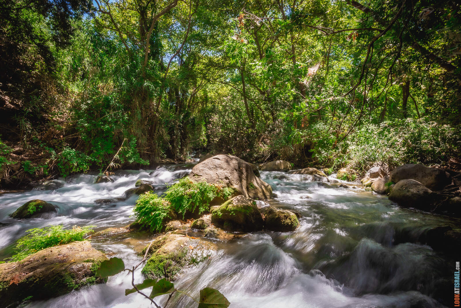 Ручей Баниас - Хермон (от кибуца Снир в Шаар Ишув)