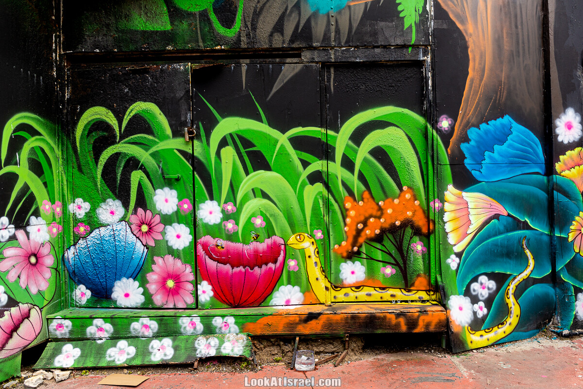 Граффити Тель-Авива и Яффо | LookAtIsrael.com - Фото путешествия по Израилю