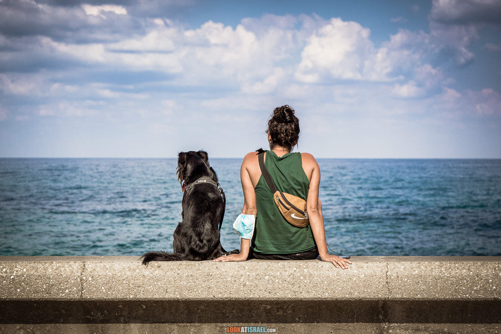 девушка, собака, море