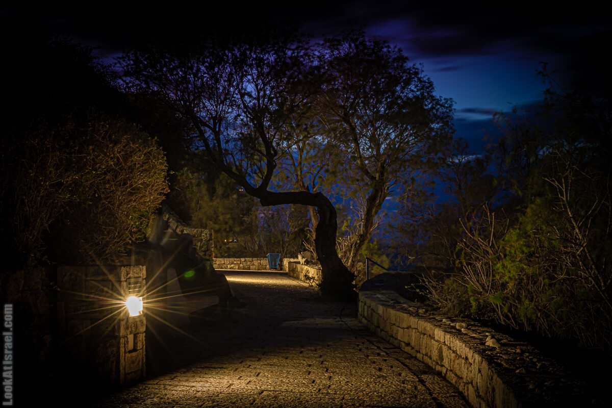 Ночной Тель-Авив | LookAtIsrael.com - Фото путешествия по Израилю