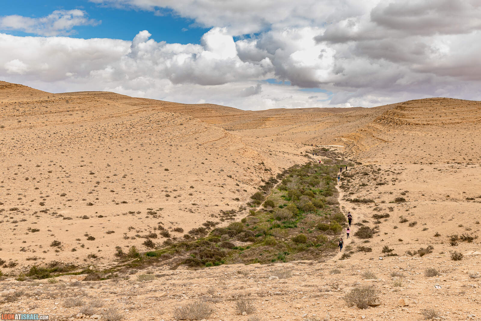 Лисье ущелье (Вади шуалим) - От Йерухама к большому махтешу | נחל שועלים