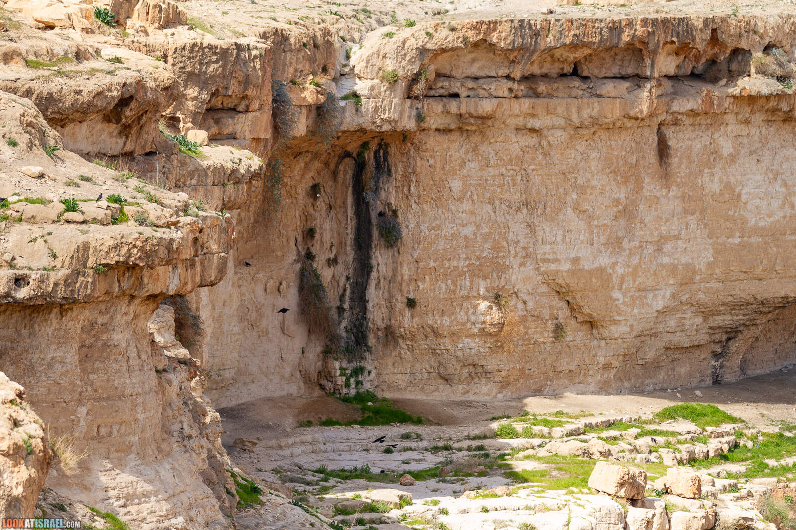 По Иудейской пустыне на внедорожнике - от Арада до Иерусалима | LookAtIsrael.com - Фото путешествия по Израилю