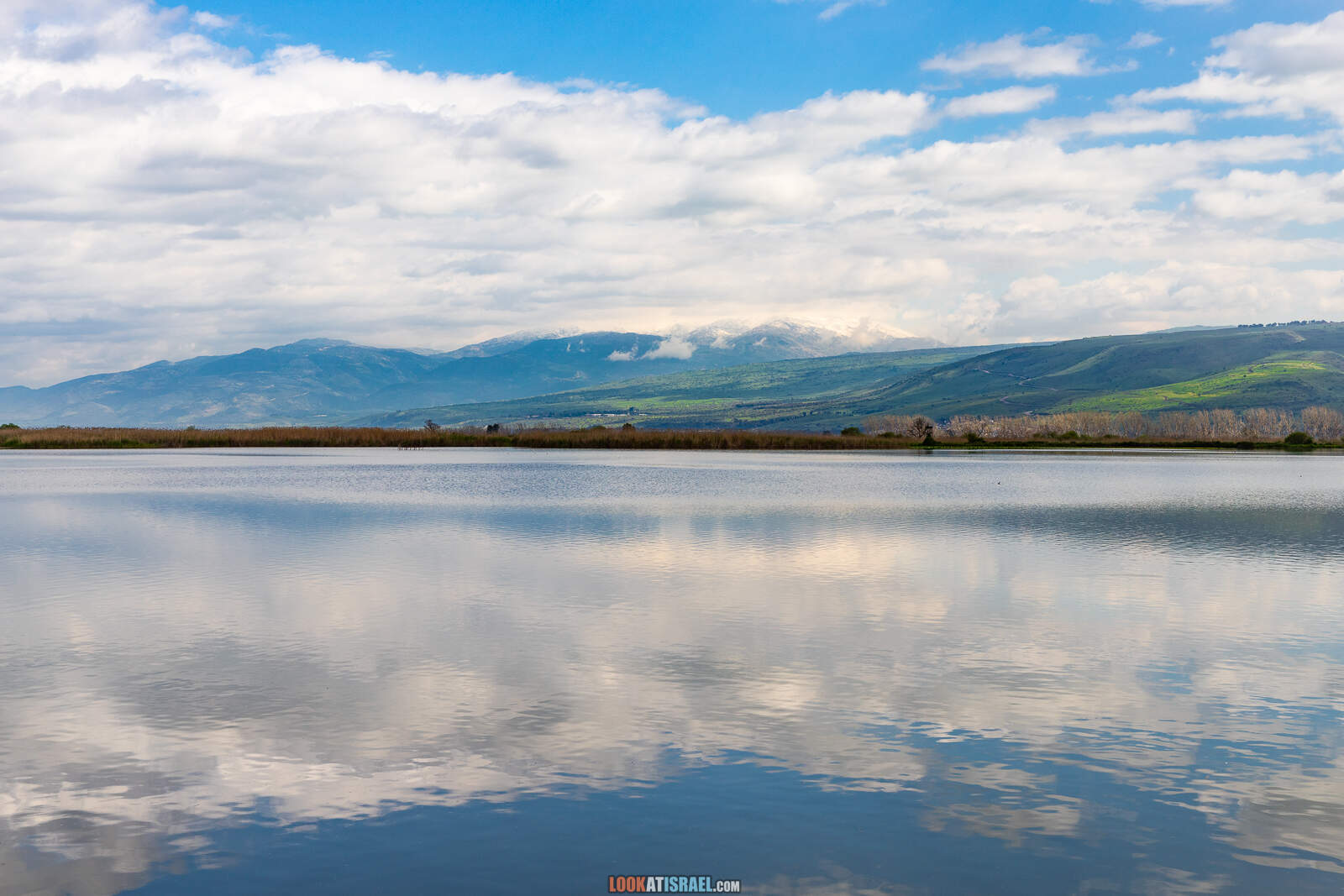 Заповедник а-Хула - Hula nature reserve - שמורת החולה