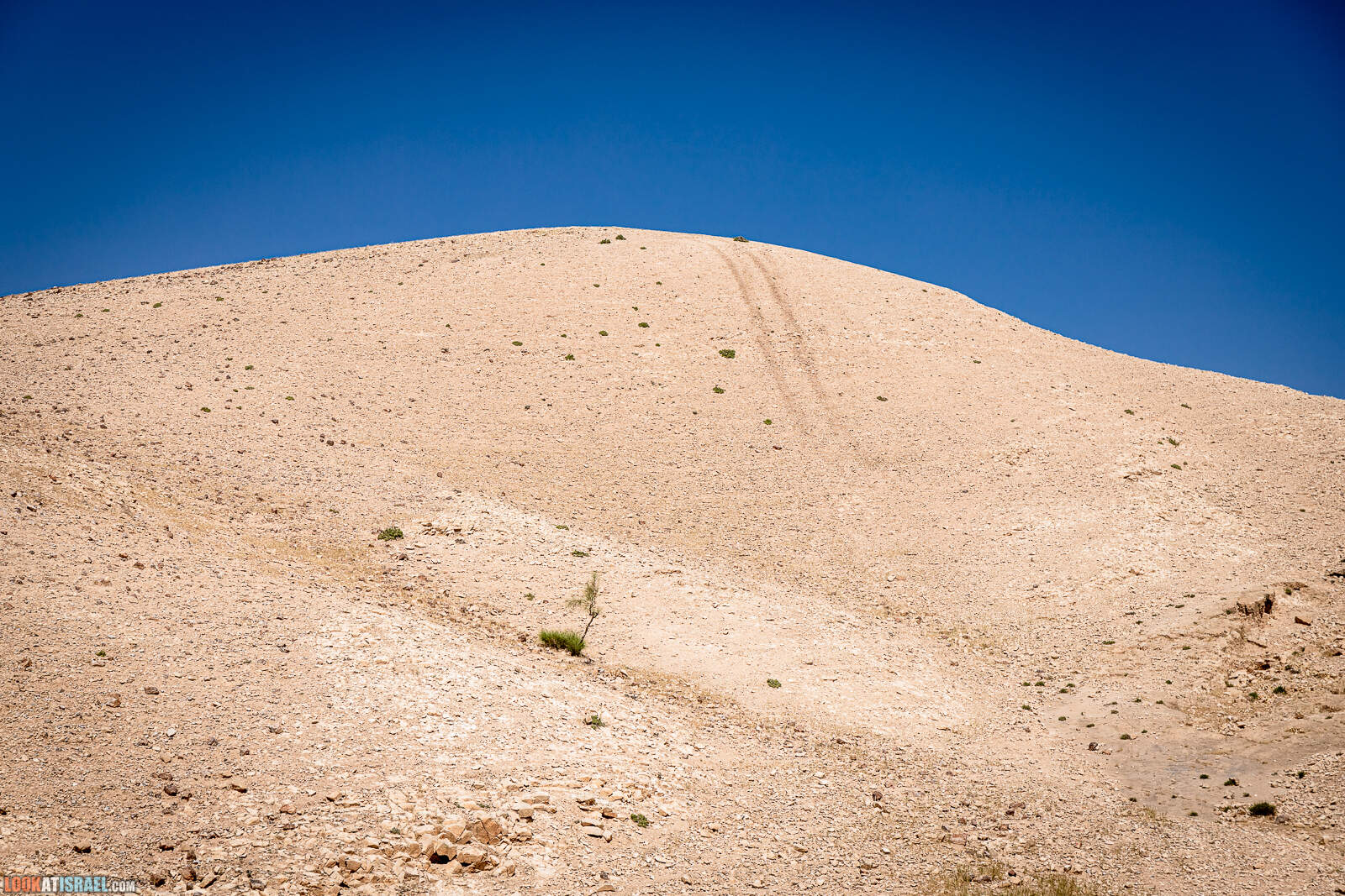 По пустыне на внедорожниках | LookAtIsrael.com - Фото путешествия по Израилю