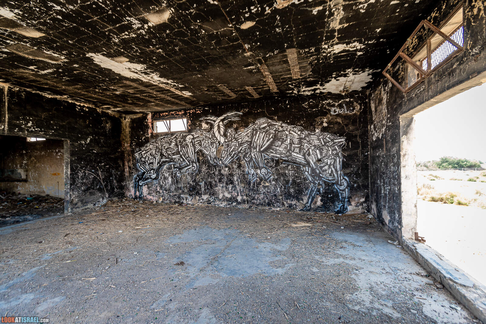 Галерея Минус -430 на Мертвом море | LookAtIsrael.com - Фото путешествия по Израилю