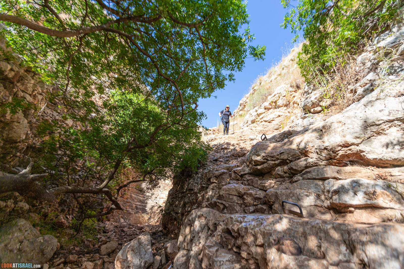 Ущелье Нахаль Ицпор - נחל יצפור