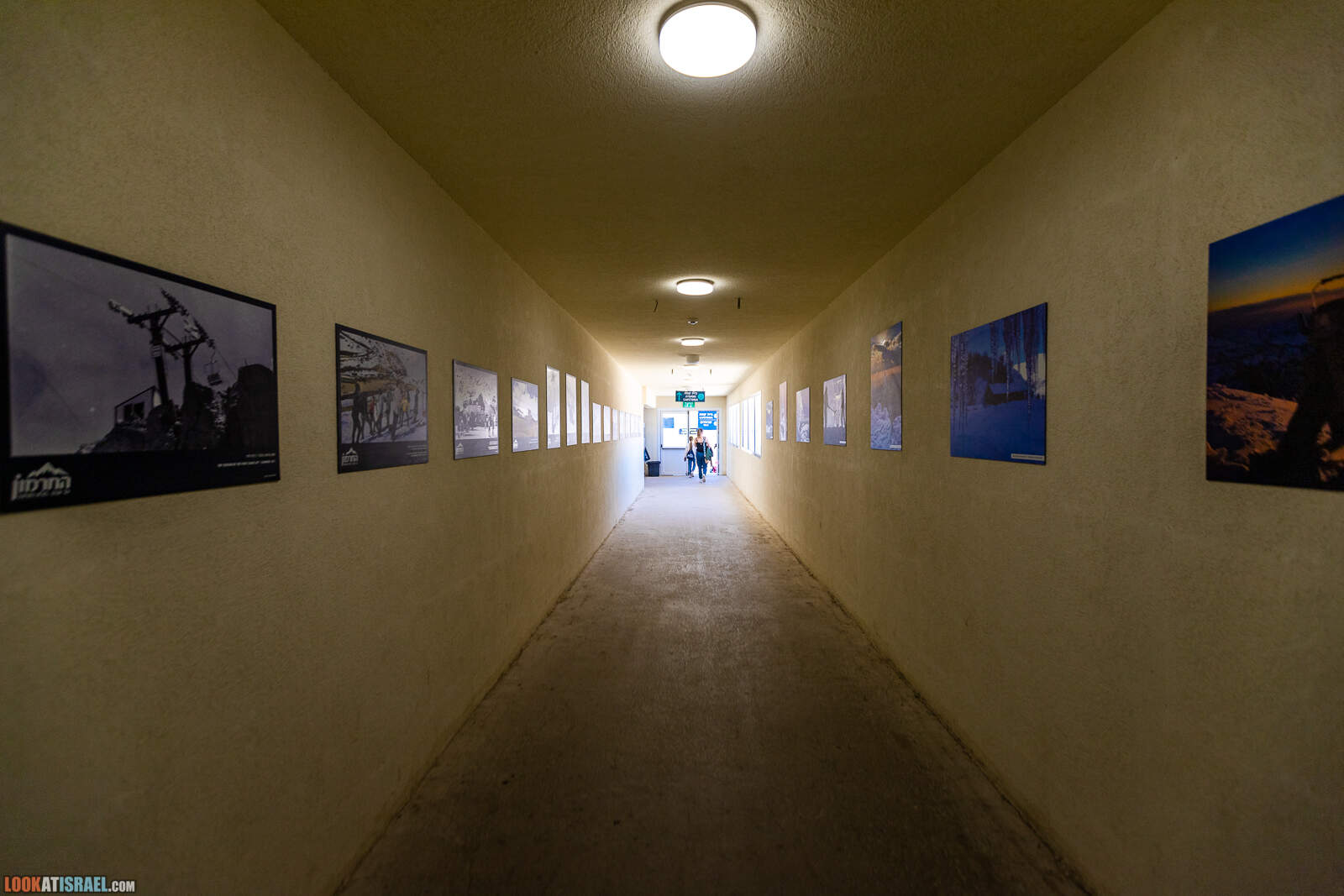 Чем себя занять на горе Хермон - летние аттракции