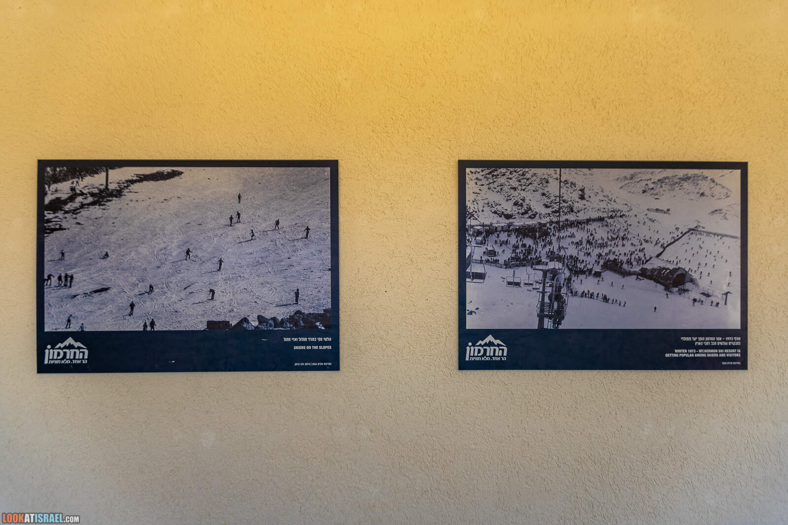 Чем себя занять на горе Хермон - летние аттракции