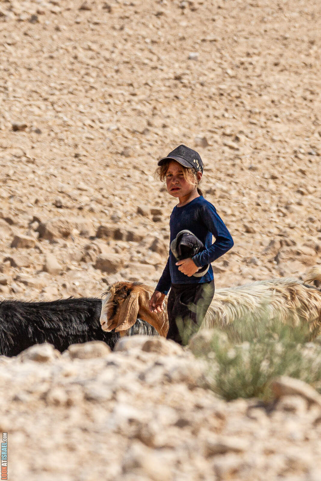 Иудейская пустыне на внедорожнике, монастырь Мар Саба, гора Мунтар (Азазель) | מסע מסכם קורס נהג מתקדם קיץ 2021 שבילים - LookAtIsrael.com - Фото путешествия по Израилю