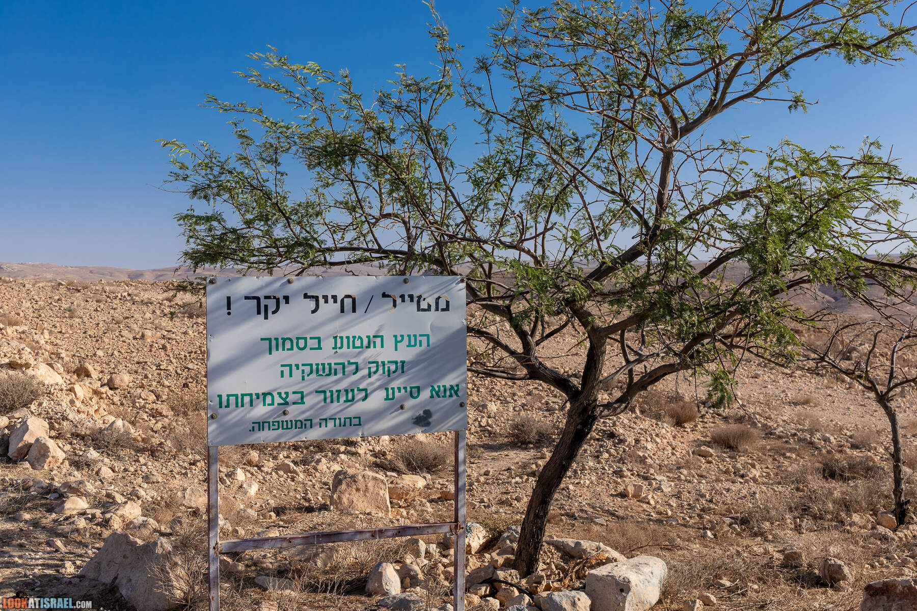 Южная часть дороги 10 вдоль границы с Египтом и Эйлатские горы - гора Берех, нахаль Метек, нахаль Ботем и Ботмим, обратная сторона долины Тимна, гигантские бульбусы в Израиле |  LookAtIsrael.com - Фото путешествия по Израилю