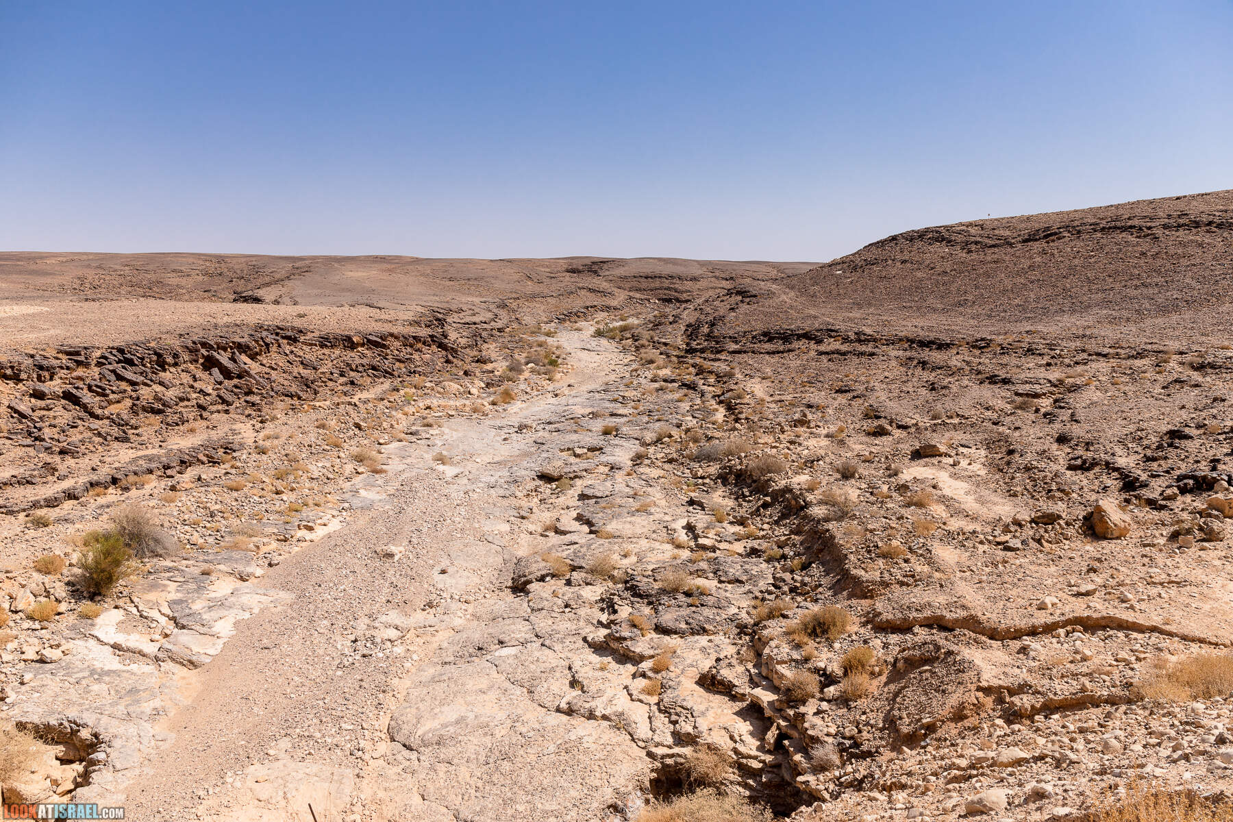 Южная часть дороги 10 вдоль границы с Египтом и Эйлатские горы - гора Берех, нахаль Метек, нахаль Ботем и Ботмим, обратная сторона долины Тимна, гигантские бульбусы в Израиле |  LookAtIsrael.com - Фото путешествия по Израилю