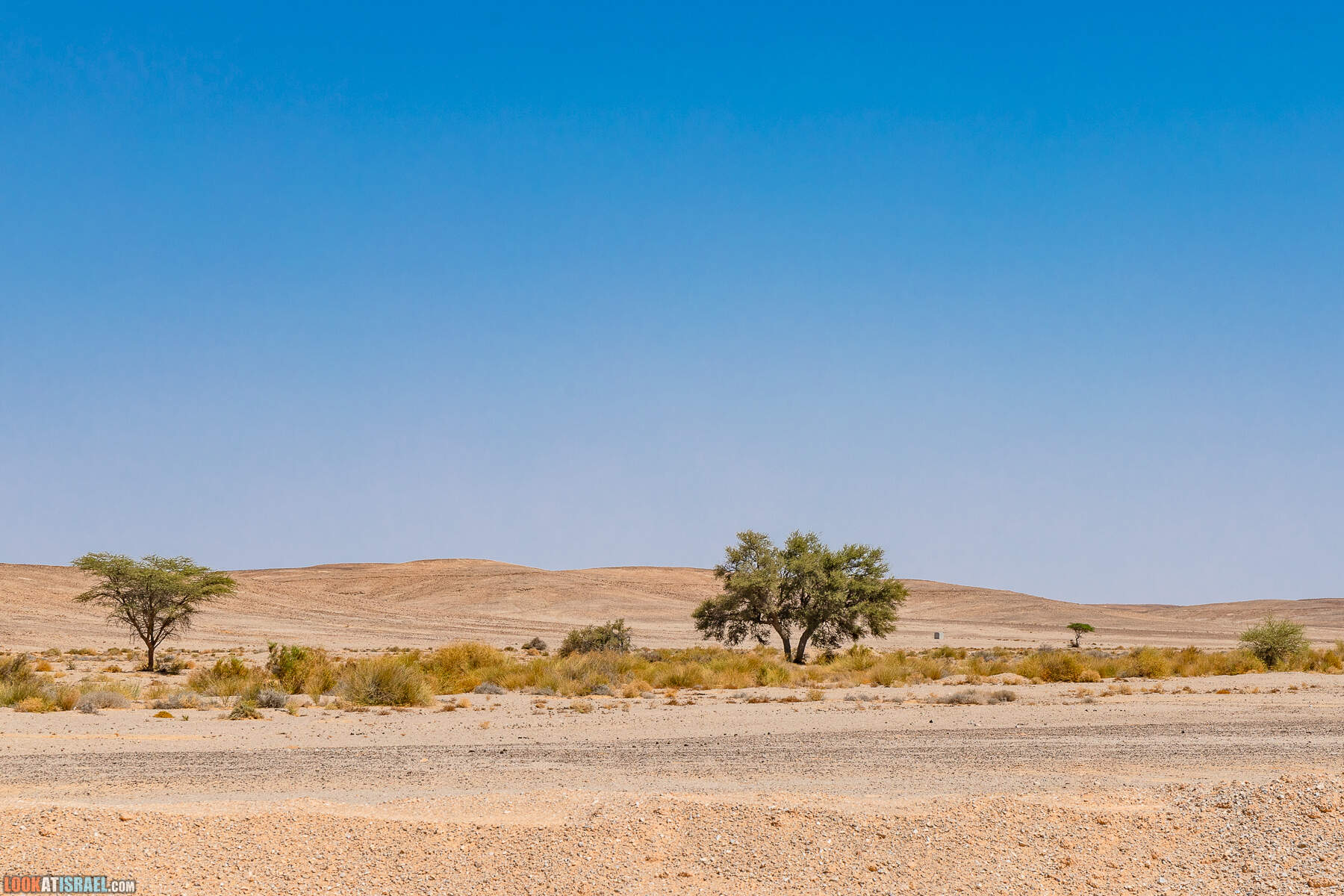 Южная часть дороги 10 вдоль границы с Египтом и Эйлатские горы - гора Берех, нахаль Метек, нахаль Ботем и Ботмим, обратная сторона долины Тимна, гигантские бульбусы в Израиле |  LookAtIsrael.com - Фото путешествия по Израилю