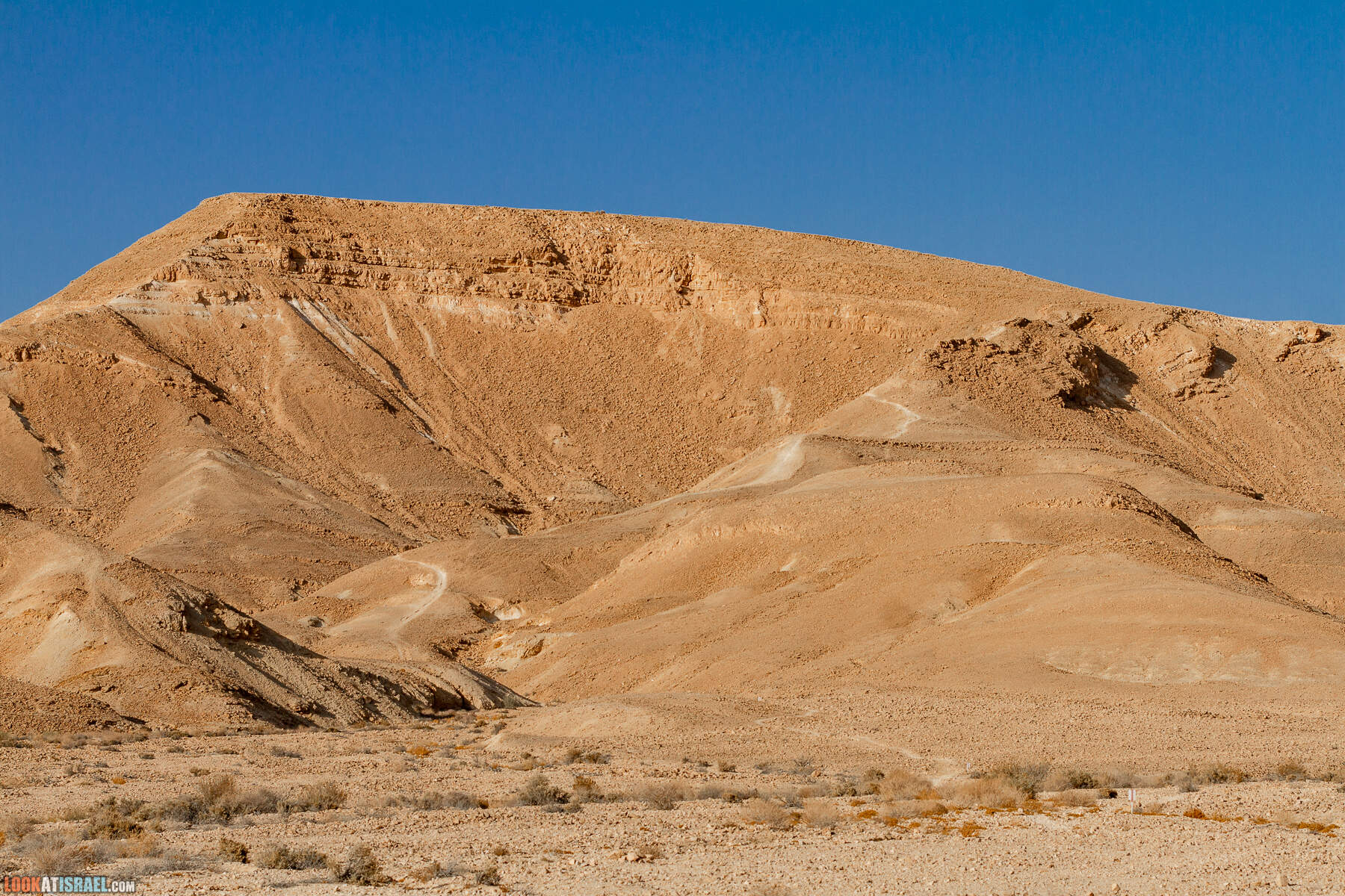 Южная часть дороги 10 вдоль границы с Египтом и Эйлатские горы - гора Берех, нахаль Метек, нахаль Ботем и Ботмим, обратная сторона долины Тимна, гигантские бульбусы в Израиле |  LookAtIsrael.com - Фото путешествия по Израилю