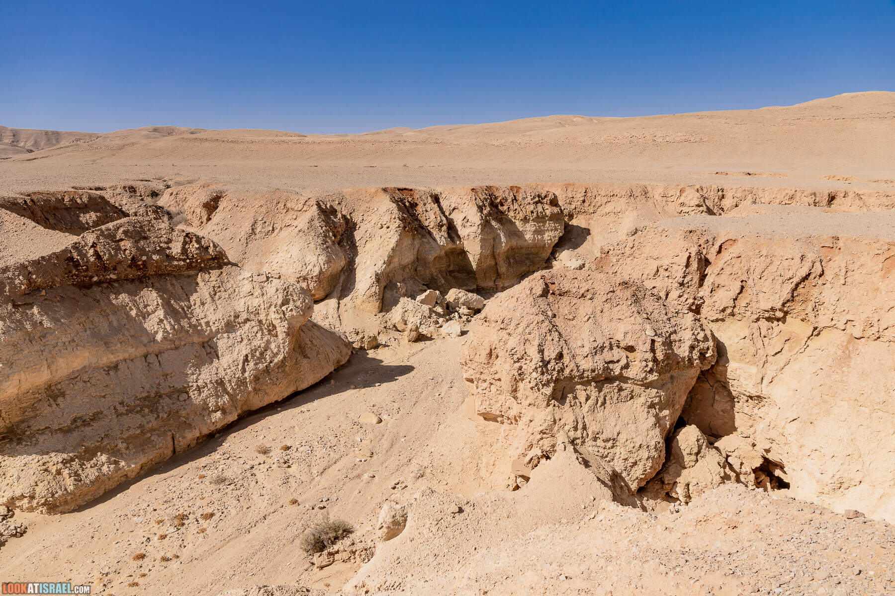 Южная часть дороги 10 вдоль границы с Египтом и Эйлатские горы - гора Берех, нахаль Метек, нахаль Ботем и Ботмим, обратная сторона долины Тимна, гигантские бульбусы в Израиле