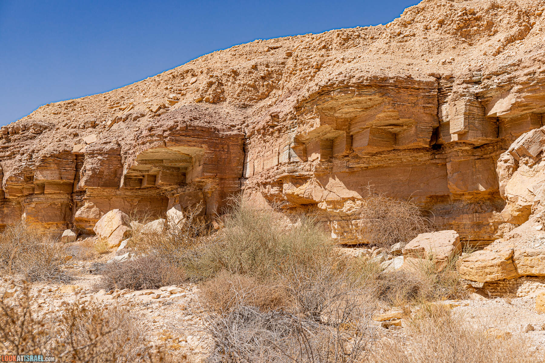 Южная часть дороги 10 вдоль границы с Египтом и Эйлатские горы - гора Берех, нахаль Метек, нахаль Ботем и Ботмим, обратная сторона долины Тимна, гигантские бульбусы в Израиле