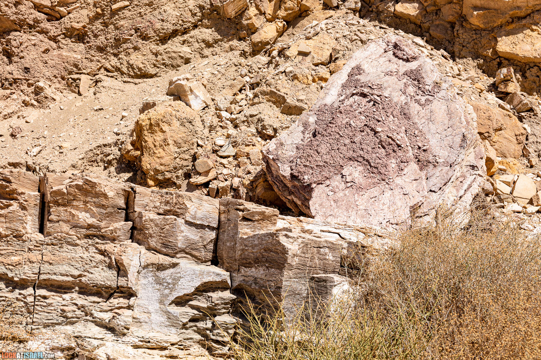 Южная часть дороги 10 вдоль границы с Египтом и Эйлатские горы - гора Берех, нахаль Метек, нахаль Ботем и Ботмим, обратная сторона долины Тимна, гигантские бульбусы в Израиле