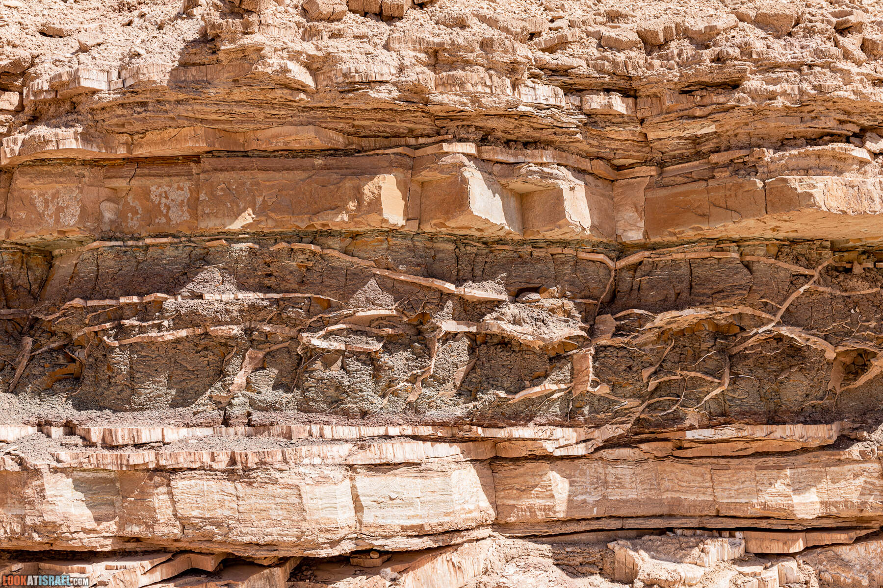 Южная часть дороги 10 вдоль границы с Египтом и Эйлатские горы - гора Берех, нахаль Метек, нахаль Ботем и Ботмим, обратная сторона долины Тимна, гигантские бульбусы в Израиле |  LookAtIsrael.com - Фото путешествия по Израилю