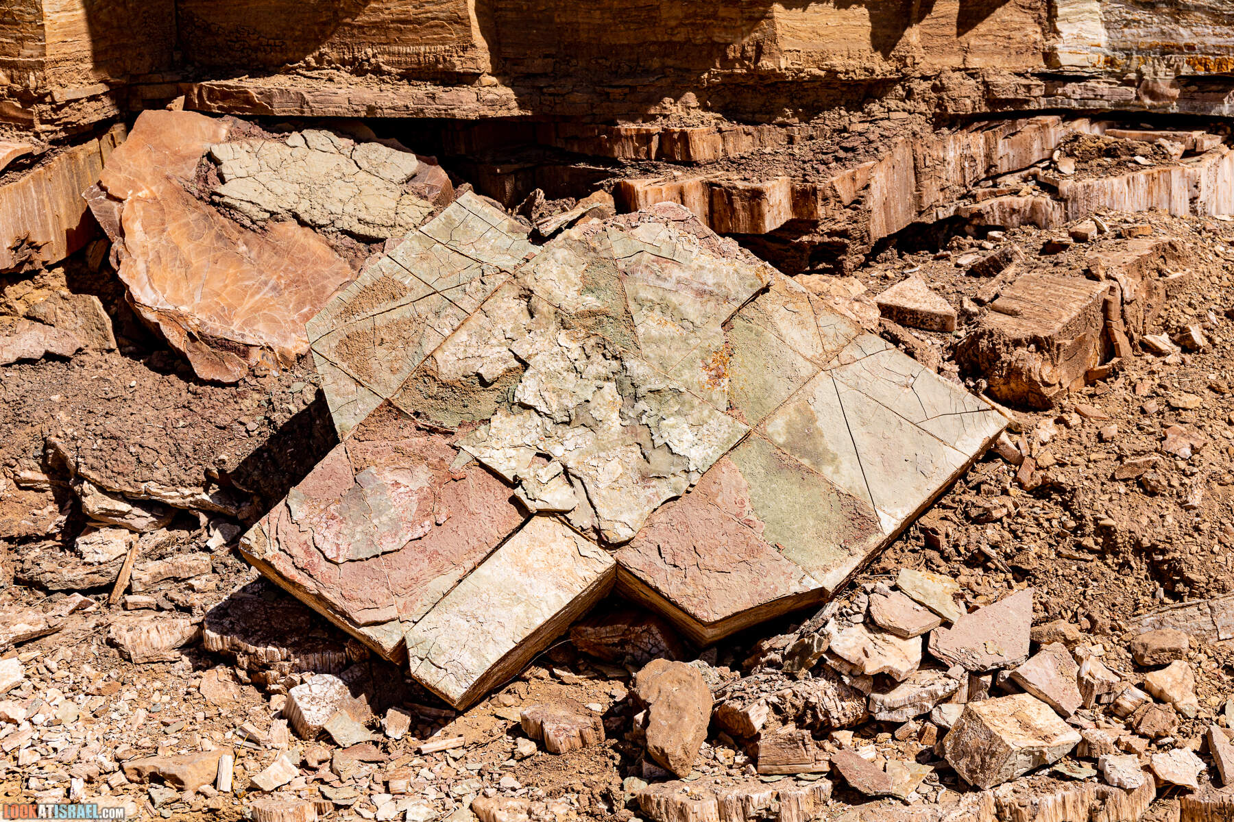 Южная часть дороги 10 вдоль границы с Египтом и Эйлатские горы - гора Берех, нахаль Метек, нахаль Ботем и Ботмим, обратная сторона долины Тимна, гигантские бульбусы в Израиле |  LookAtIsrael.com - Фото путешествия по Израилю