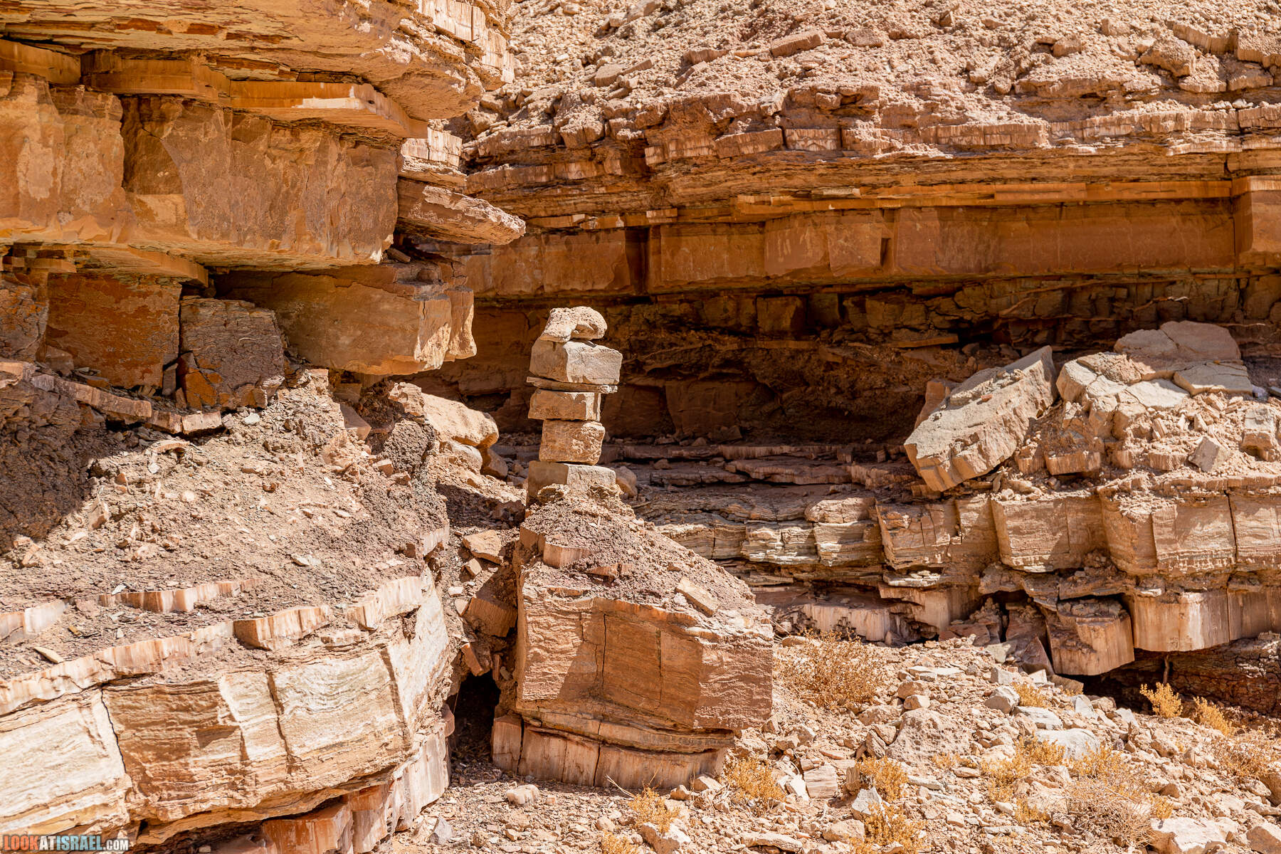 Южная часть дороги 10 вдоль границы с Египтом и Эйлатские горы - гора Берех, нахаль Метек, нахаль Ботем и Ботмим, обратная сторона долины Тимна, гигантские бульбусы в Израиле |  LookAtIsrael.com - Фото путешествия по Израилю