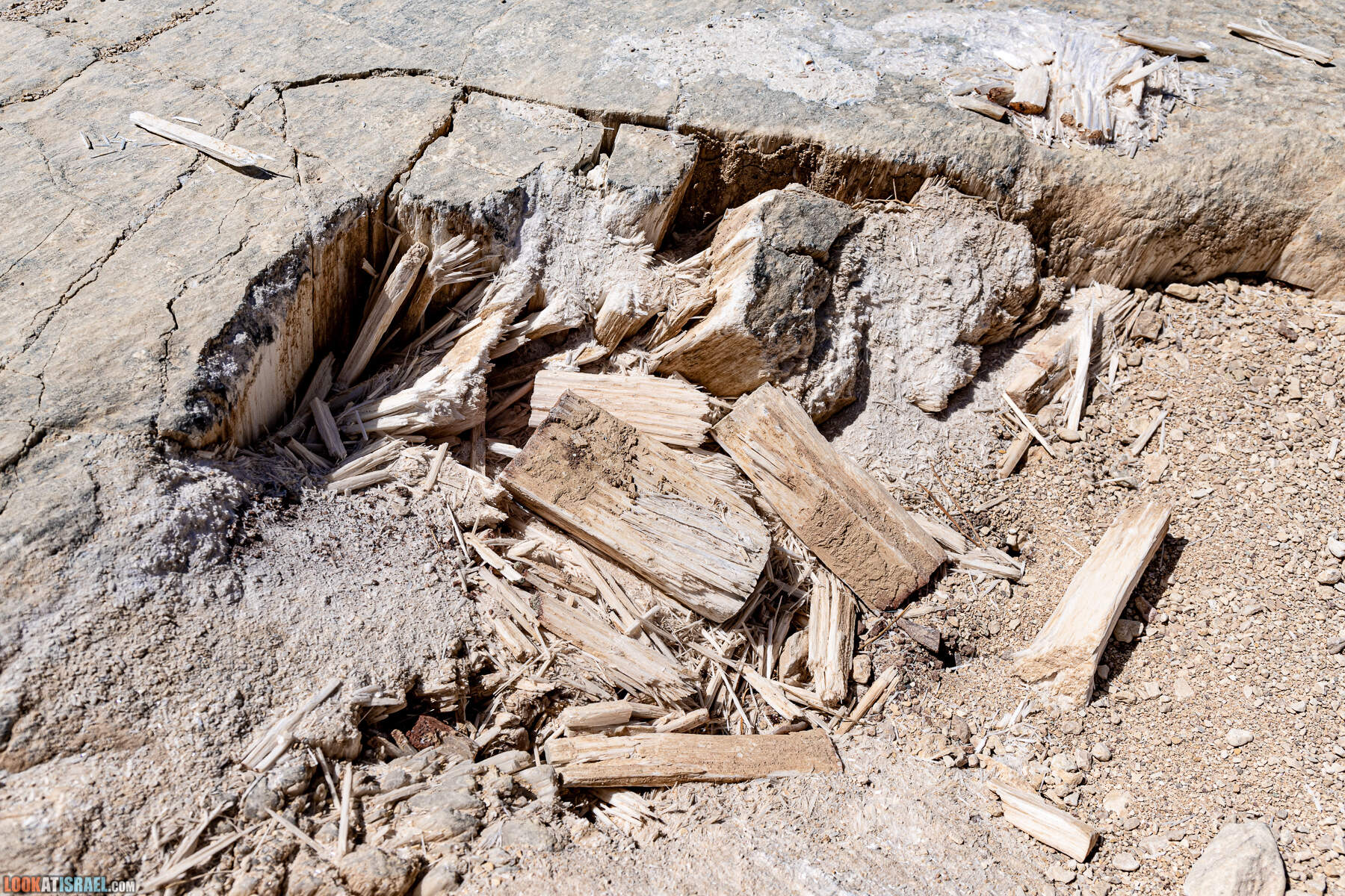 Южная часть дороги 10 вдоль границы с Египтом и Эйлатские горы - гора Берех, нахаль Метек, нахаль Ботем и Ботмим, обратная сторона долины Тимна, гигантские бульбусы в Израиле |  LookAtIsrael.com - Фото путешествия по Израилю