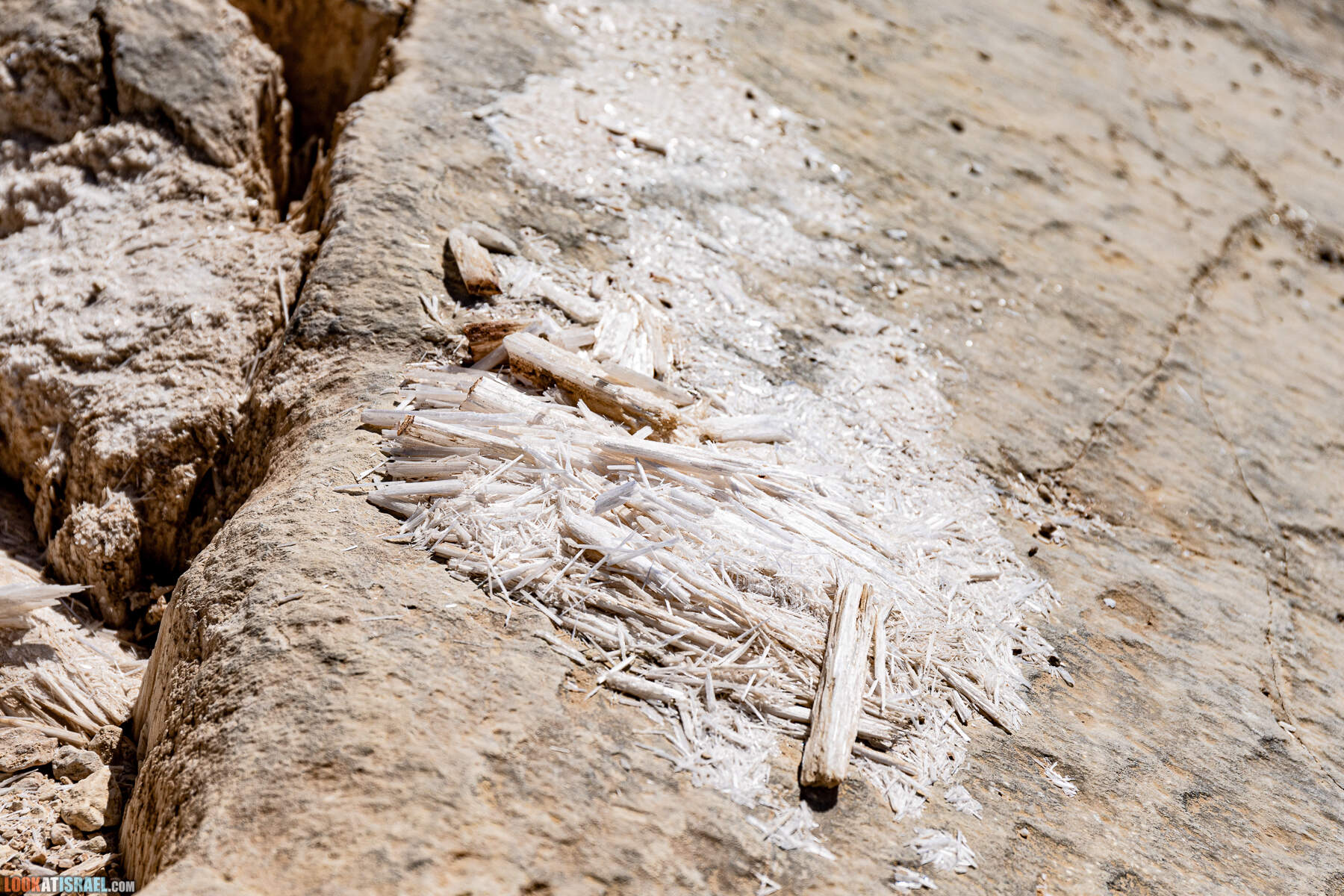 Южная часть дороги 10 вдоль границы с Египтом и Эйлатские горы - гора Берех, нахаль Метек, нахаль Ботем и Ботмим, обратная сторона долины Тимна, гигантские бульбусы в Израиле |  LookAtIsrael.com - Фото путешествия по Израилю