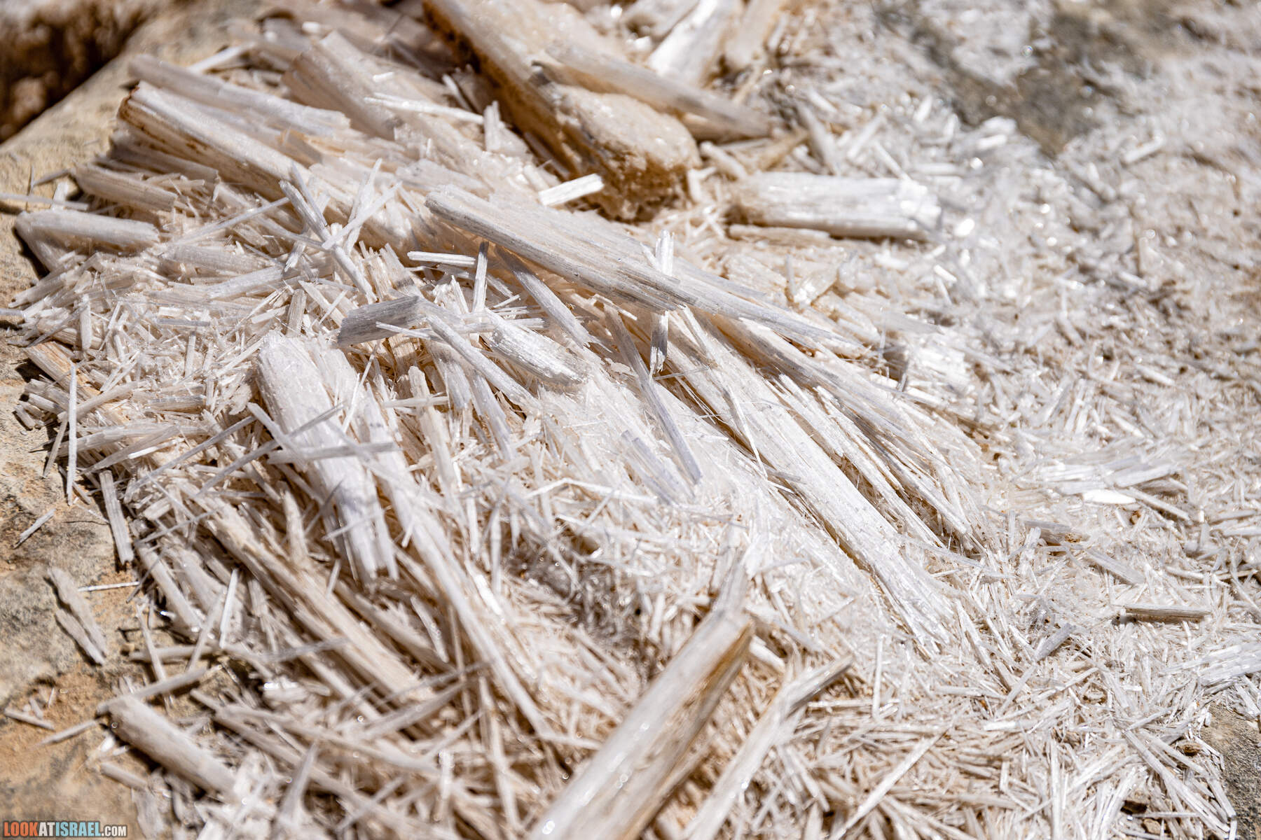 Южная часть дороги 10 вдоль границы с Египтом и Эйлатские горы - гора Берех, нахаль Метек, нахаль Ботем и Ботмим, обратная сторона долины Тимна, гигантские бульбусы в Израиле |  LookAtIsrael.com - Фото путешествия по Израилю