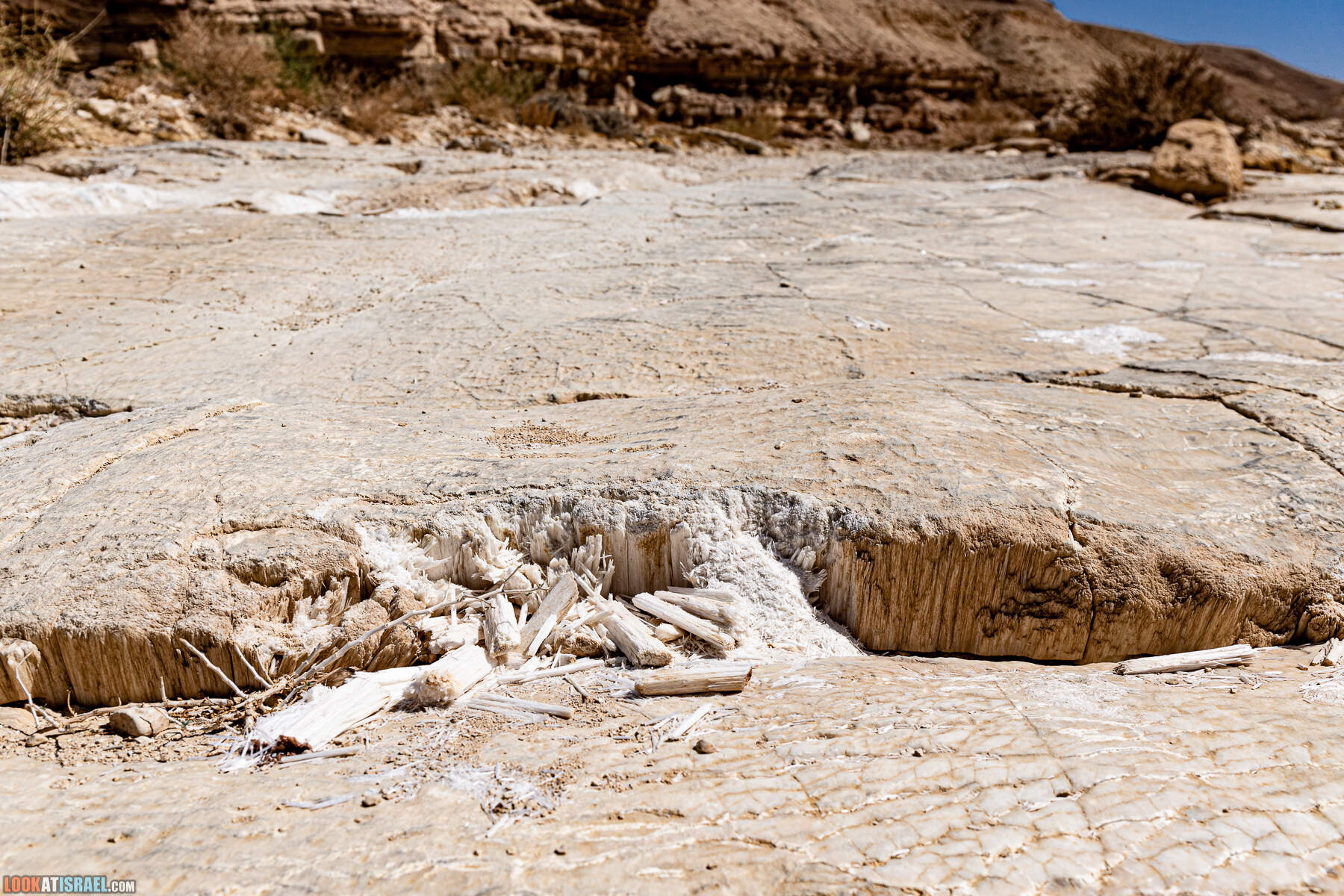 Южная часть дороги 10 вдоль границы с Египтом и Эйлатские горы - гора Берех, нахаль Метек, нахаль Ботем и Ботмим, обратная сторона долины Тимна, гигантские бульбусы в Израиле |  LookAtIsrael.com - Фото путешествия по Израилю