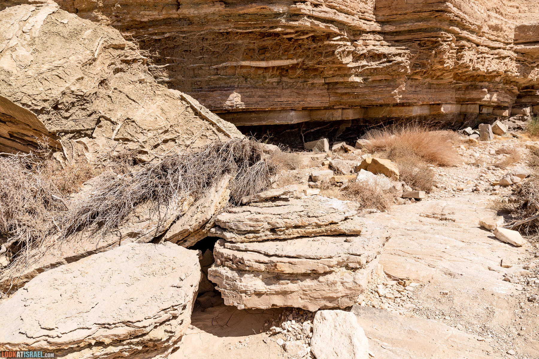 Южная часть дороги 10 вдоль границы с Египтом и Эйлатские горы - гора Берех, нахаль Метек, нахаль Ботем и Ботмим, обратная сторона долины Тимна, гигантские бульбусы в Израиле