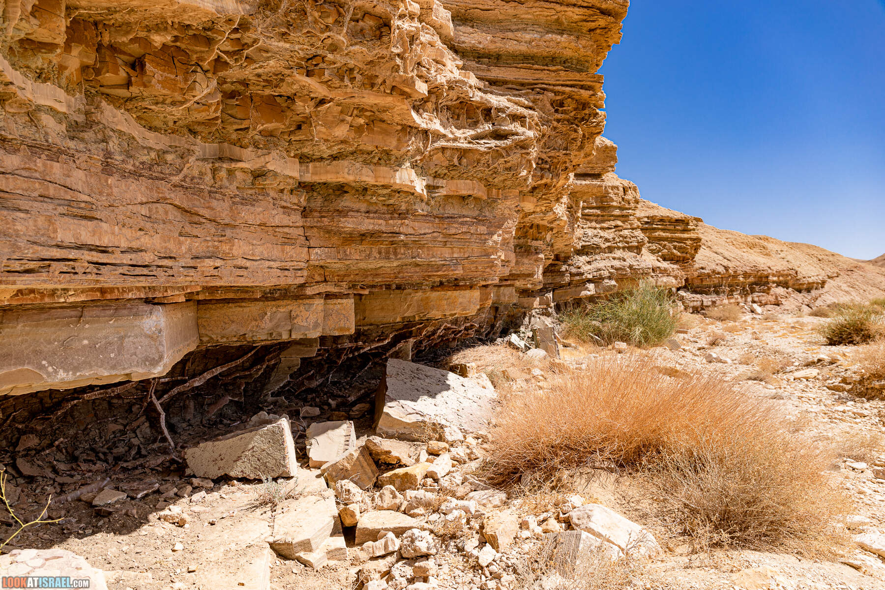 Южная часть дороги 10 вдоль границы с Египтом и Эйлатские горы - гора Берех, нахаль Метек, нахаль Ботем и Ботмим, обратная сторона долины Тимна, гигантские бульбусы в Израиле
