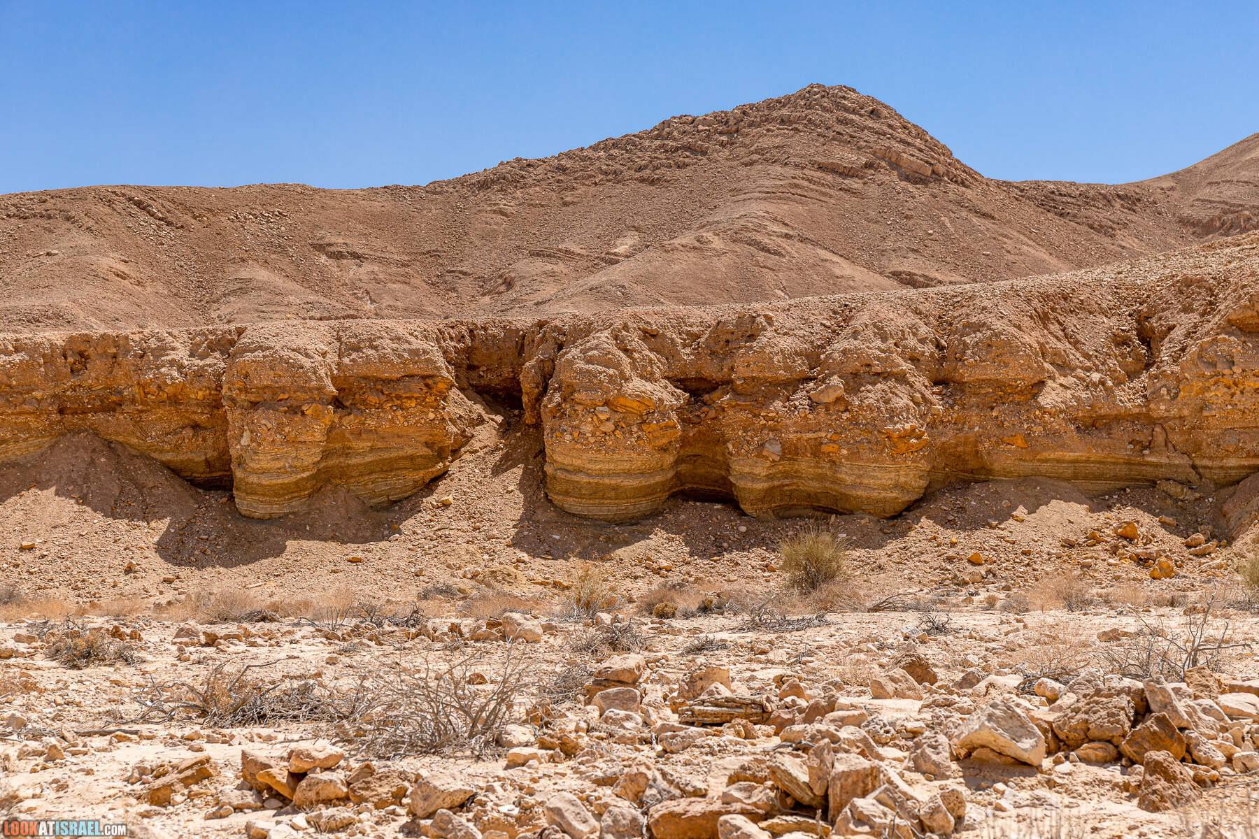 Южная часть дороги 10 вдоль границы с Египтом и Эйлатские горы - гора Берех, нахаль Метек, нахаль Ботем и Ботмим, обратная сторона долины Тимна, гигантские бульбусы в Израиле |  LookAtIsrael.com - Фото путешествия по Израилю