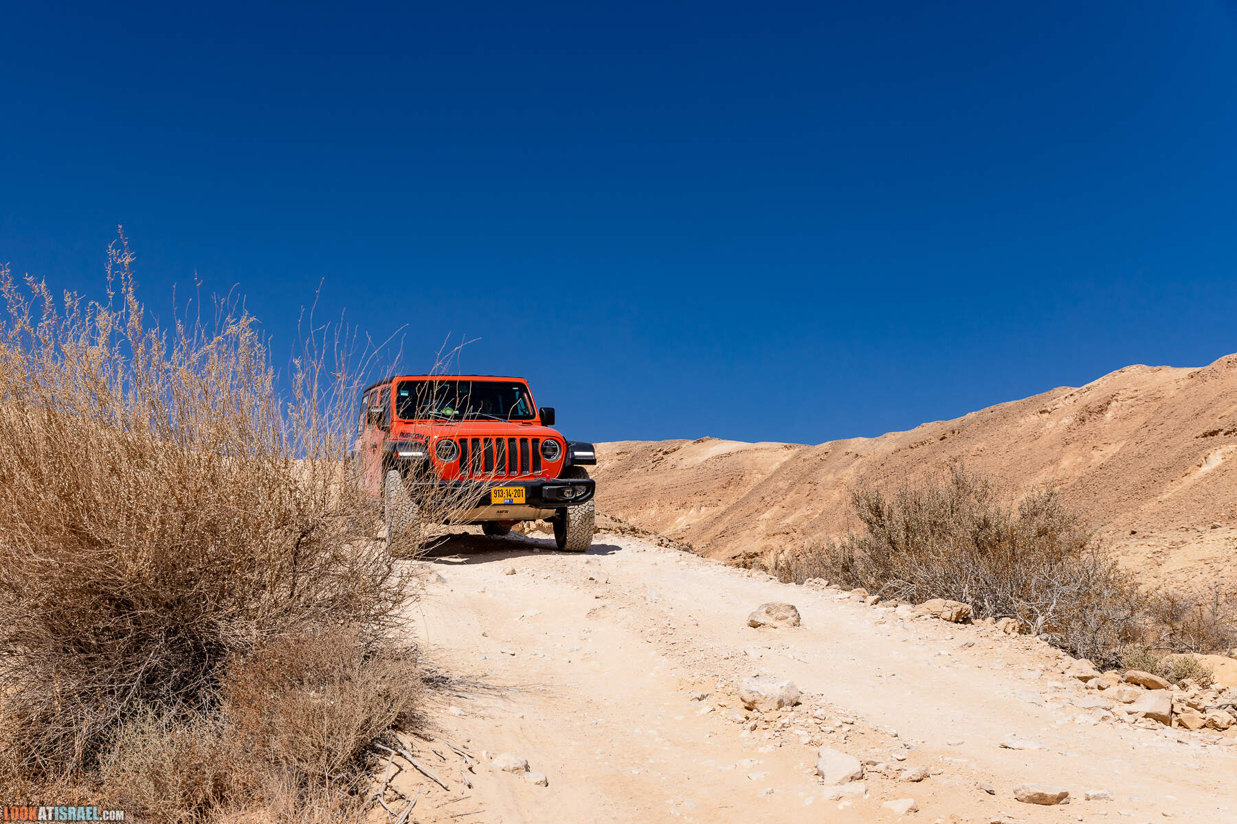 Южная часть дороги 10 вдоль границы с Египтом и Эйлатские горы - гора Берех, нахаль Метек, нахаль Ботем и Ботмим, обратная сторона долины Тимна, гигантские бульбусы в Израиле |  LookAtIsrael.com - Фото путешествия по Израилю