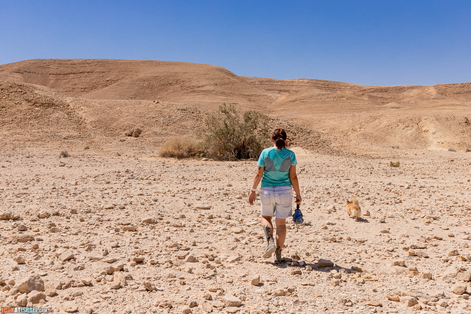 Южная часть дороги 10 вдоль границы с Египтом и Эйлатские горы - гора Берех, нахаль Метек, нахаль Ботем и Ботмим, обратная сторона долины Тимна, гигантские бульбусы в Израиле |  LookAtIsrael.com - Фото путешествия по Израилю