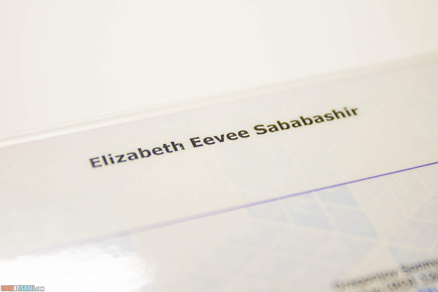 Родословная Корги Иви