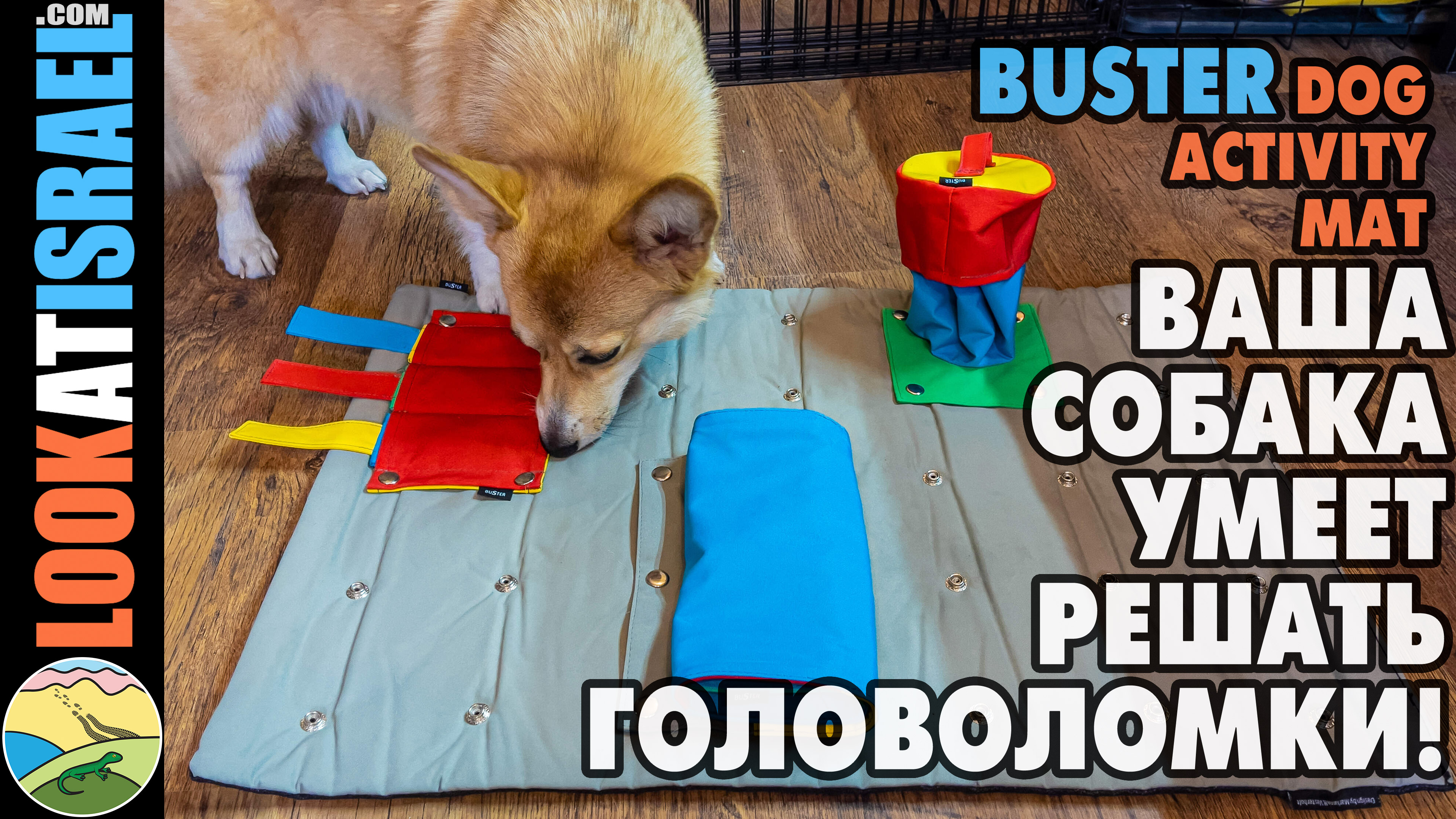 Buster Dog Activity Mat - Challenge your dog - Ваша собака умеет решать головоломки