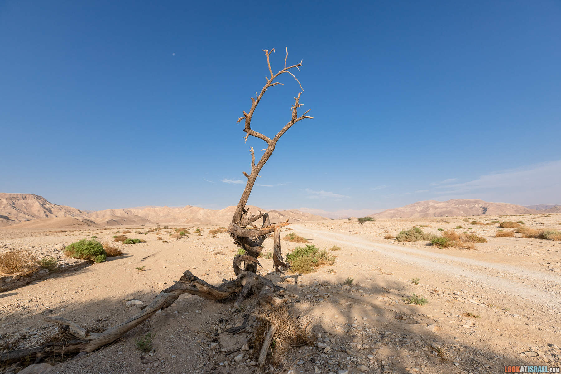 Ручьи Нахаль Этек, Нахаль Метек, Маале Шахарут и путешествие 4x4 по Эйлатским горам  - LookAtIsrael.com - Фото путешествия по Израилю