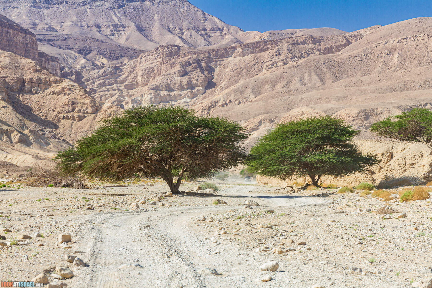 Ручьи Нахаль Этек, Нахаль Метек, Маале Шахарут и путешествие 4x4 по Эйлатским горам  - LookAtIsrael.com - Фото путешествия по Израилю