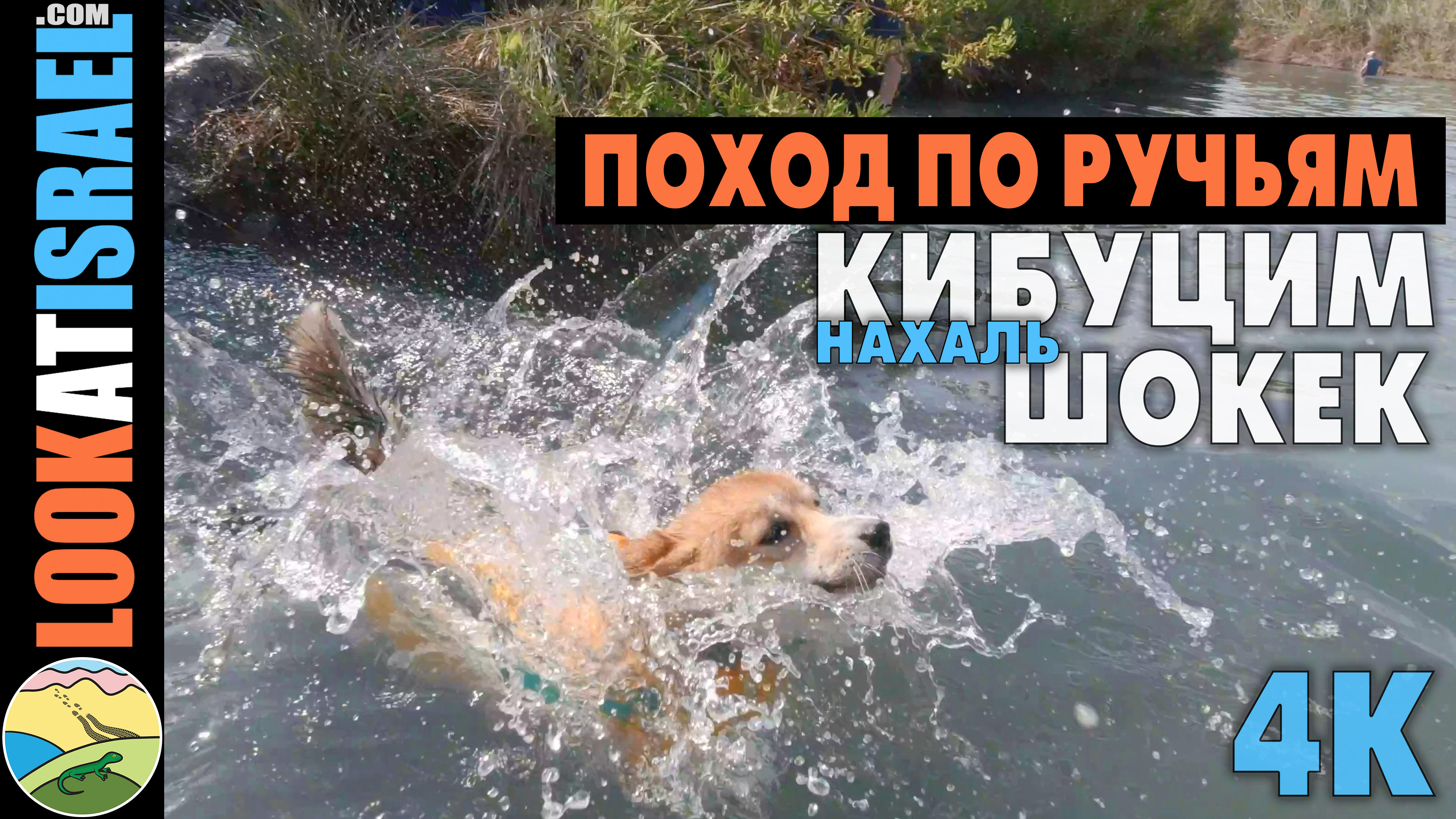 vlog Мокрый походно ручьям Кибуцим и Шокек