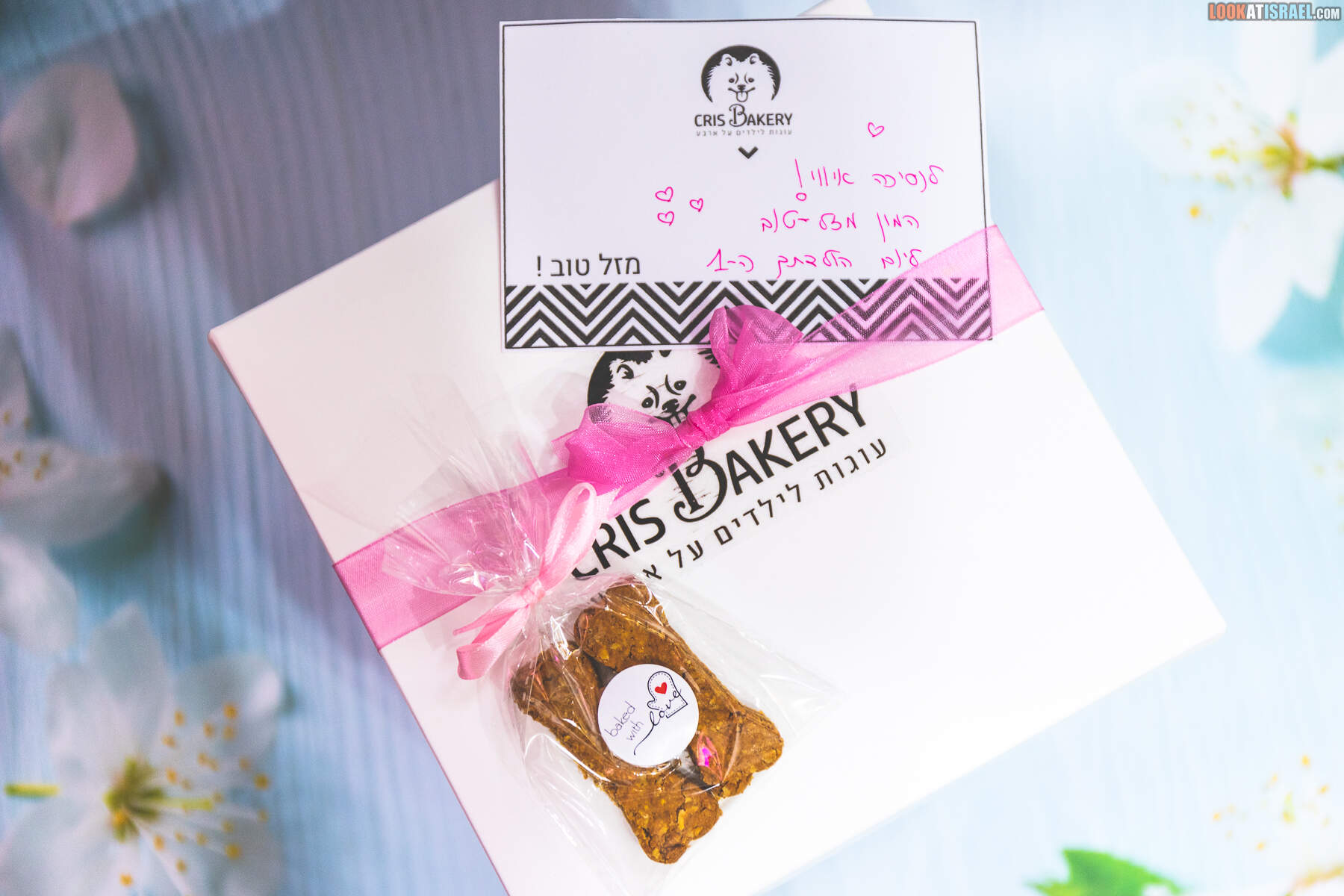 День рождения корги Иви