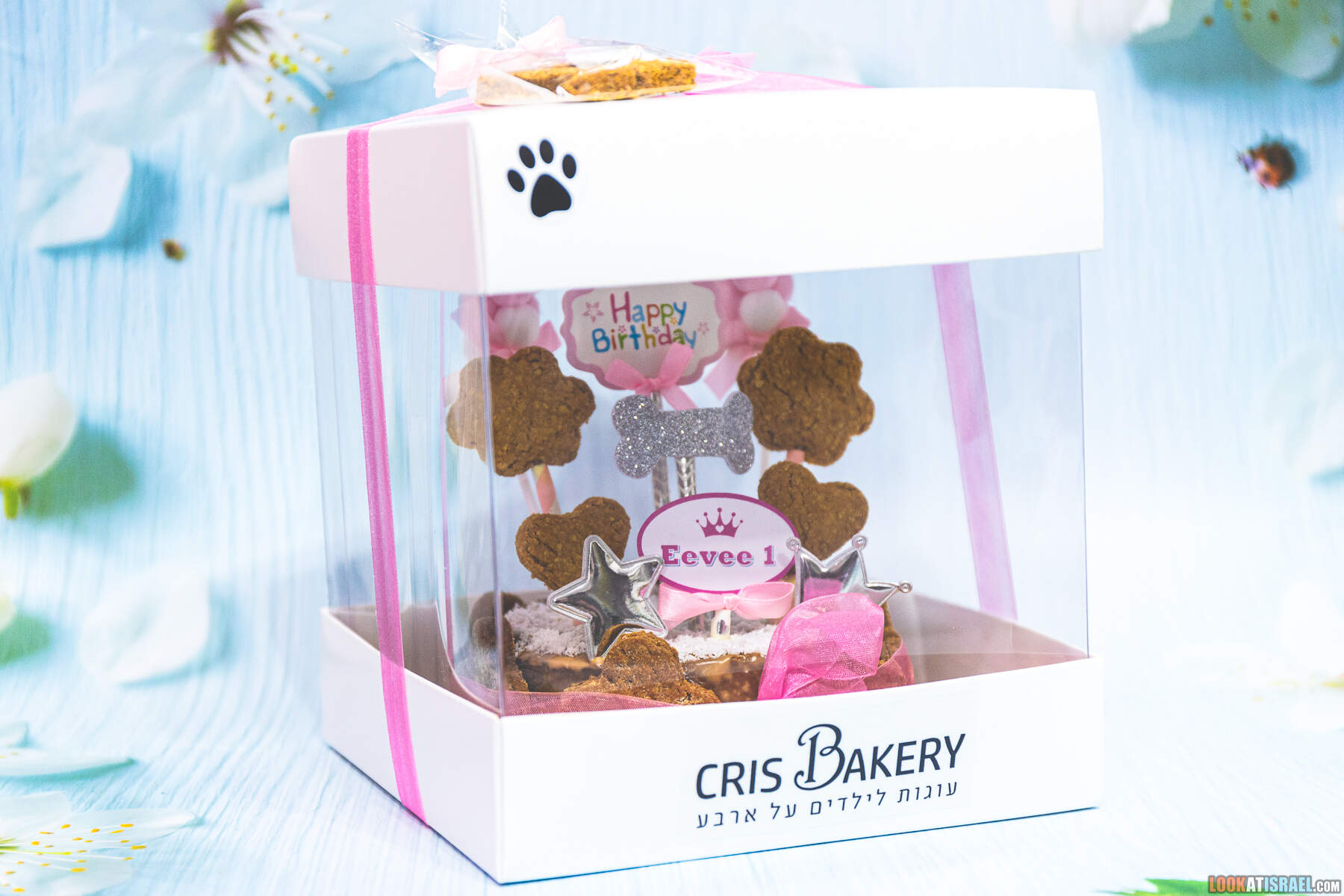 День рождения корги Иви